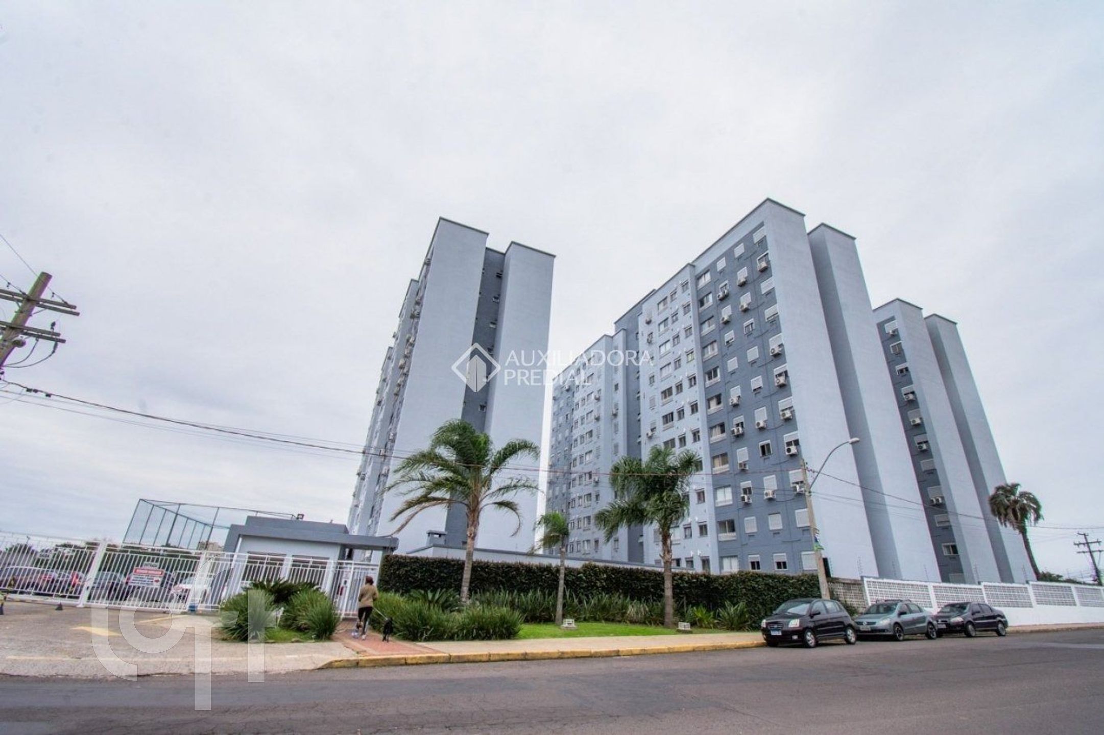 Imagem da propriedade 13