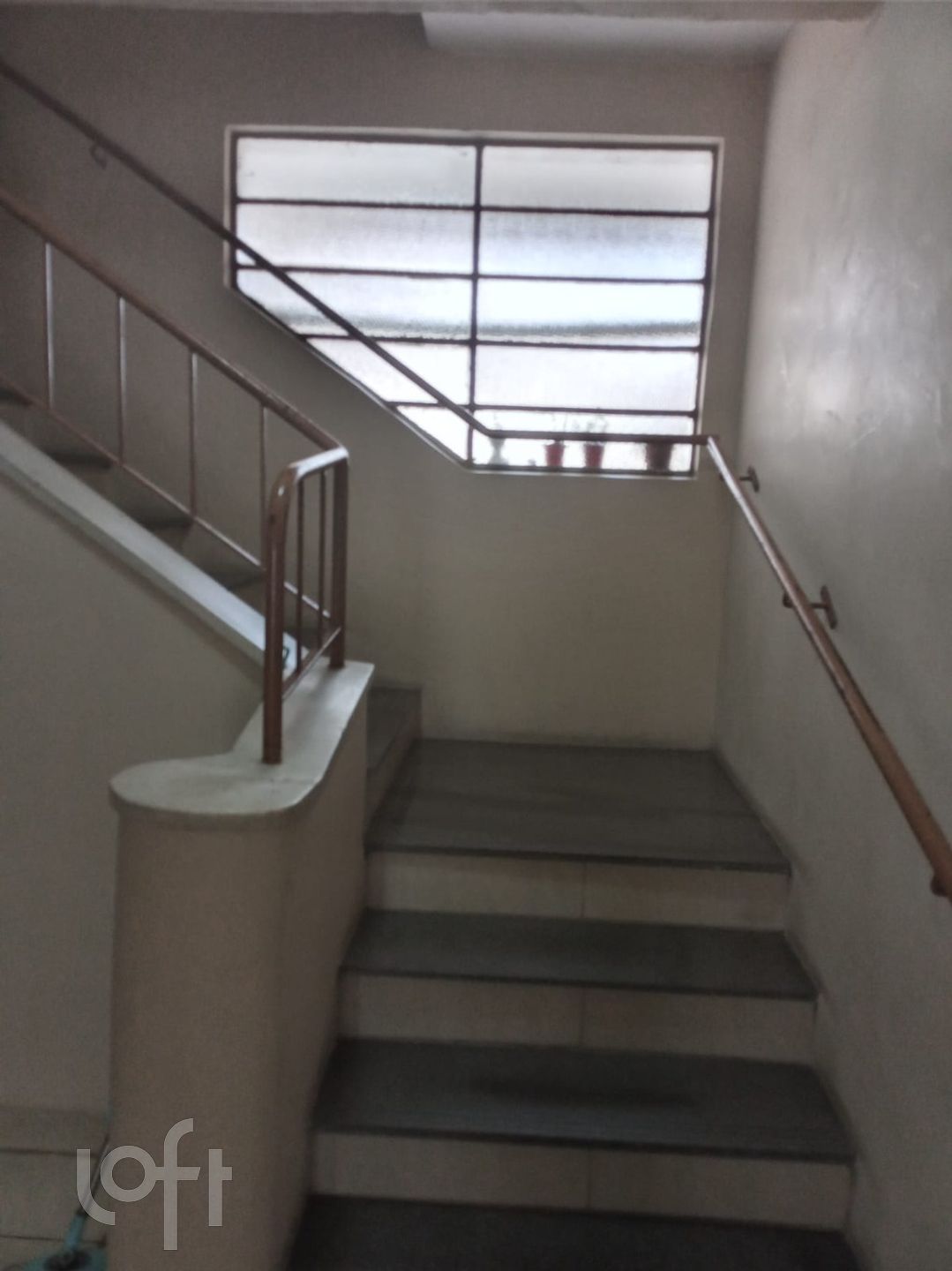 Imagem da propriedade 8