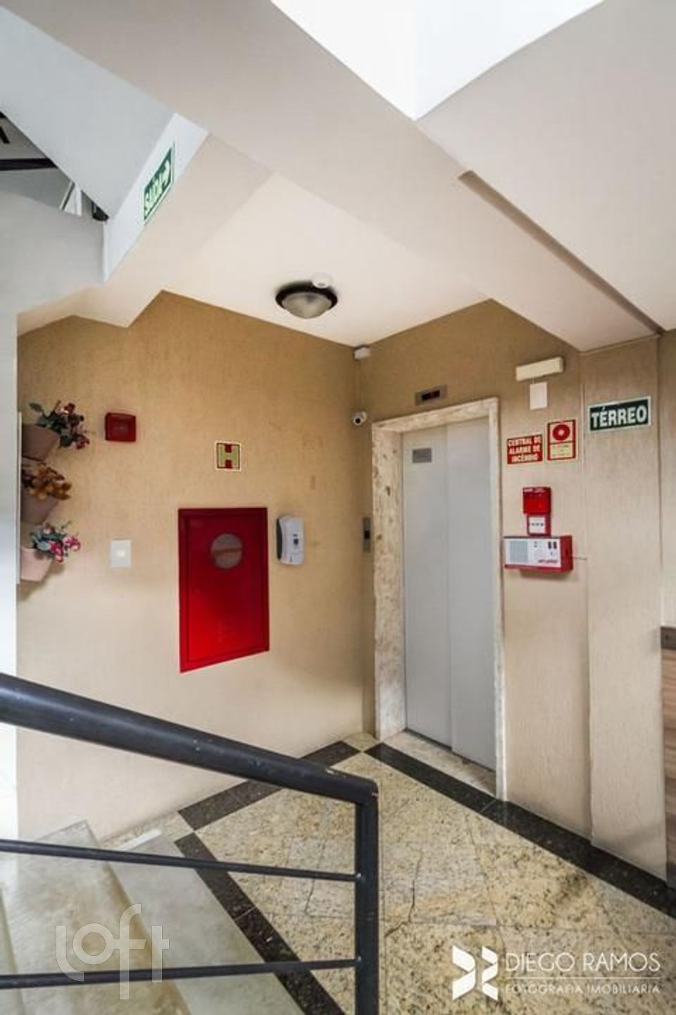 Imagem da propriedade 6