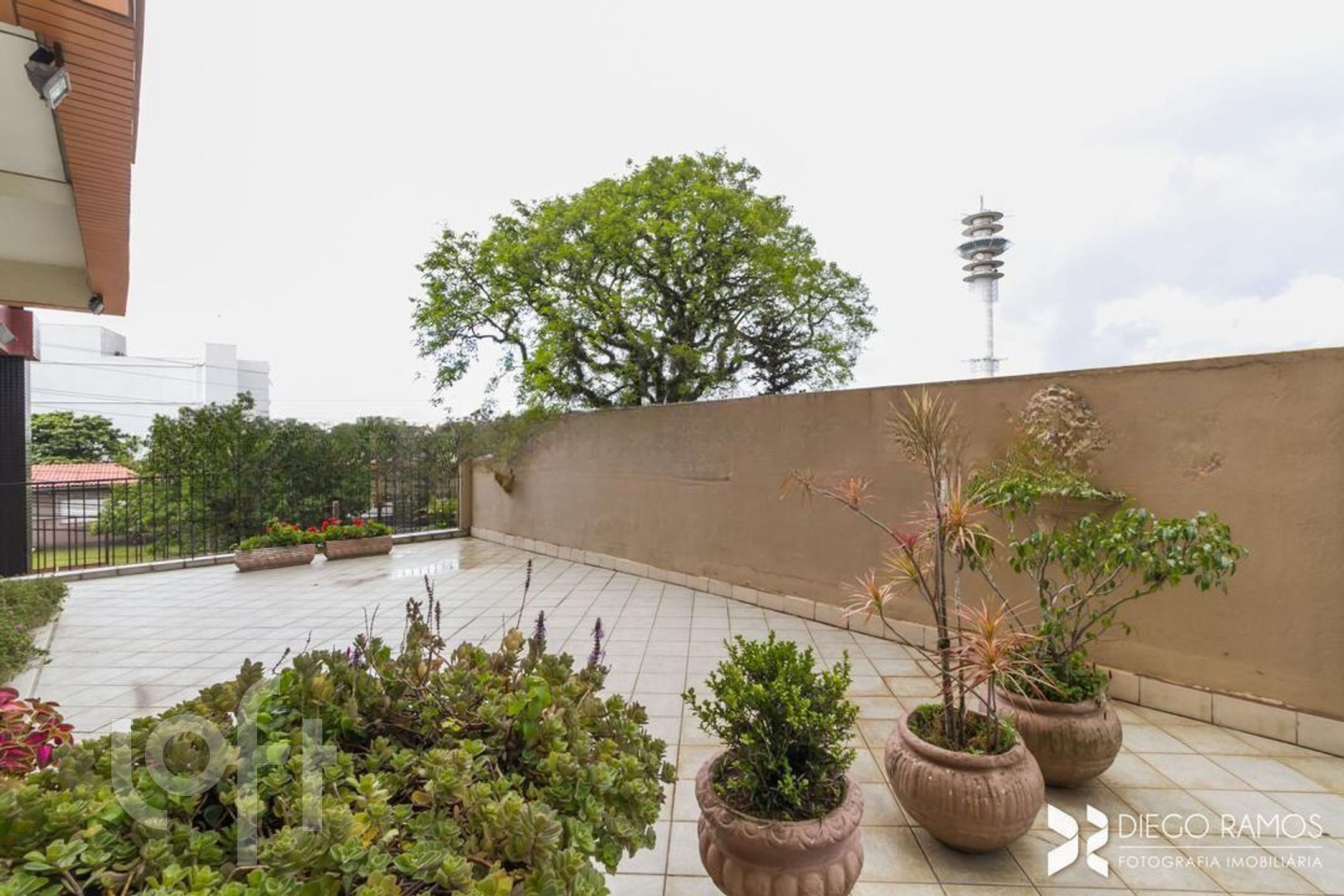 Imagem da propriedade 21