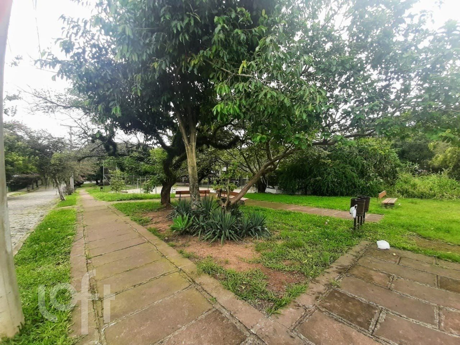 Imagem da propriedade 20