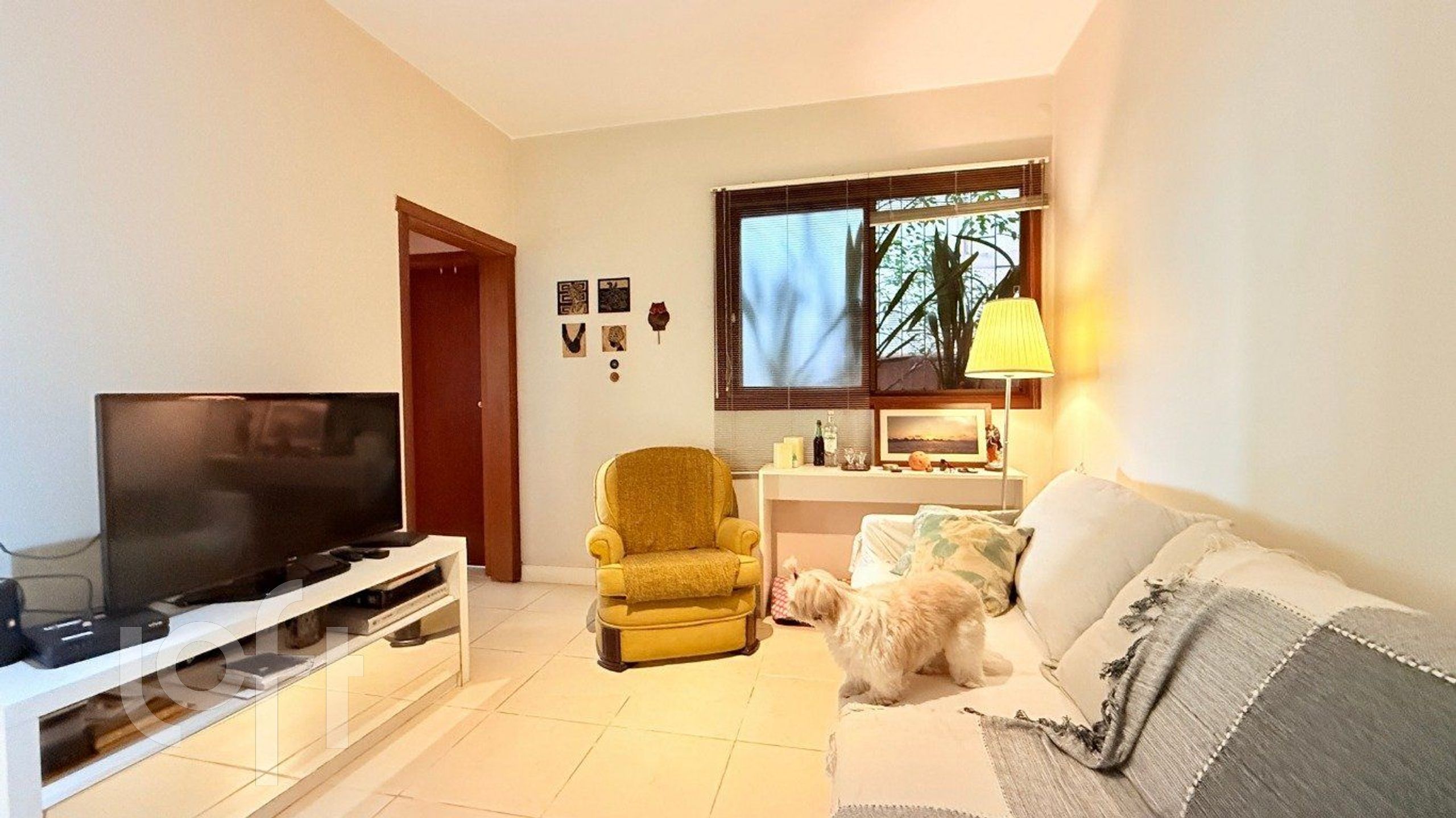 Imagem da propriedade 5