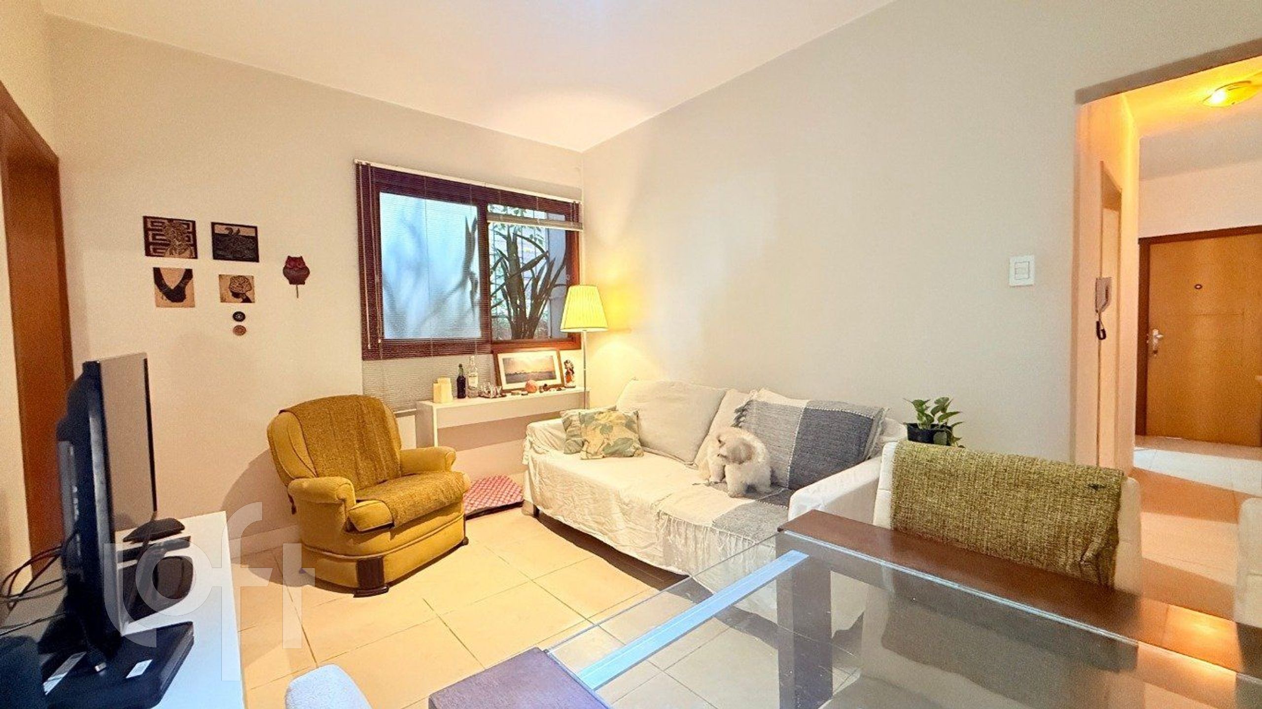 Imagem da propriedade 3