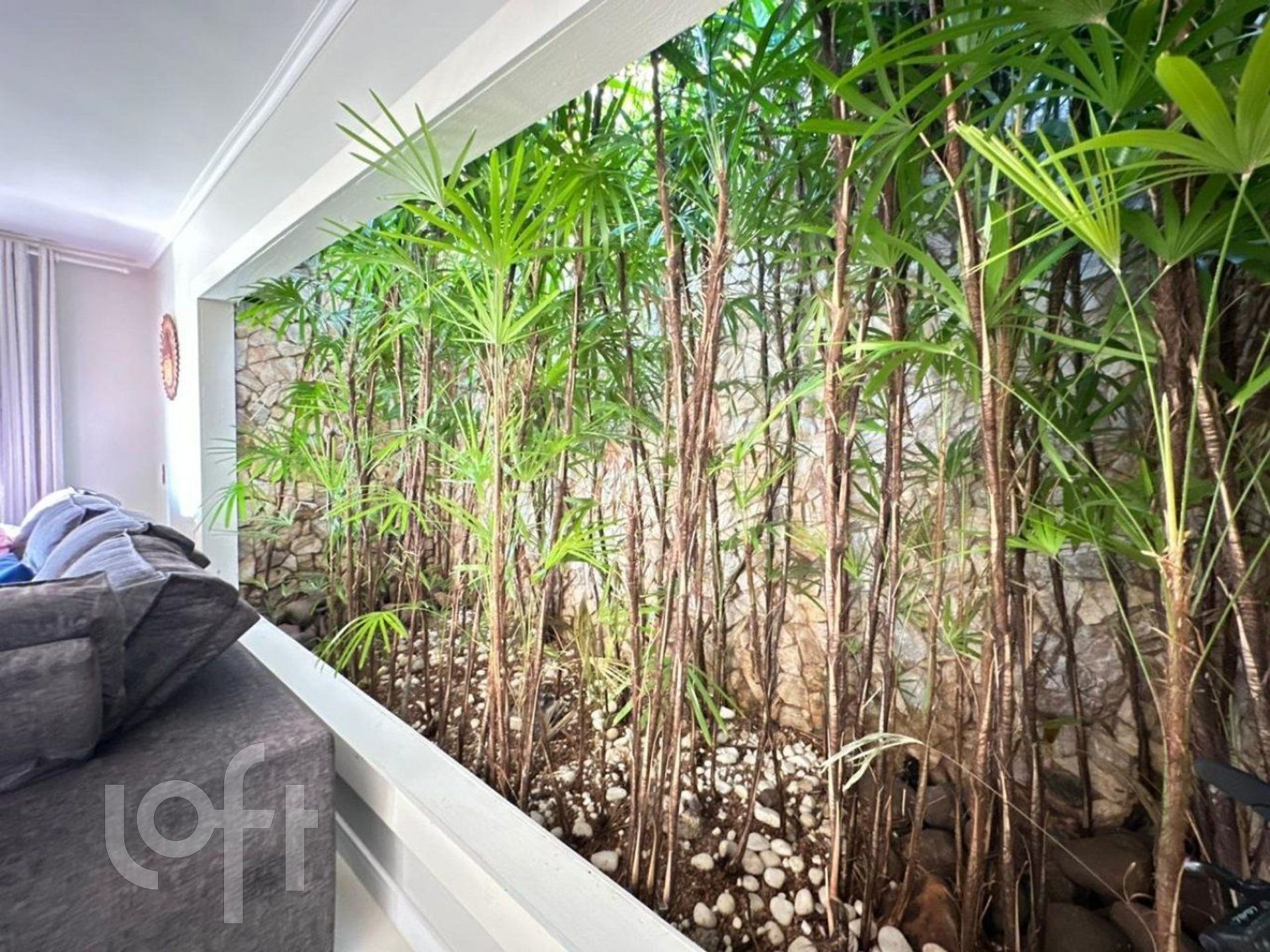 Imagem da propriedade 25