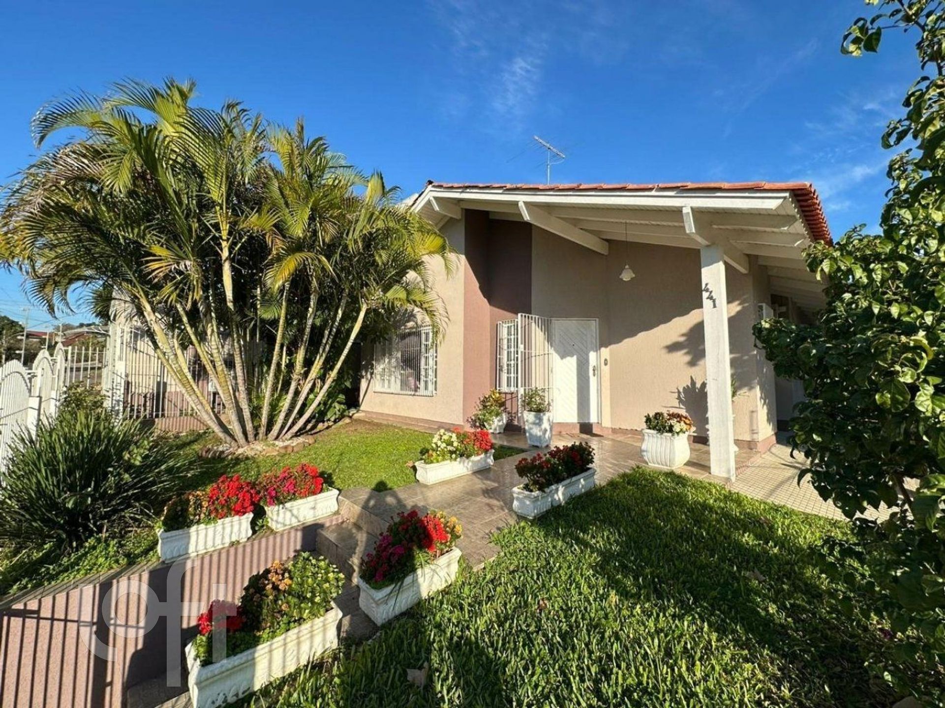 Imagem da propriedade 36