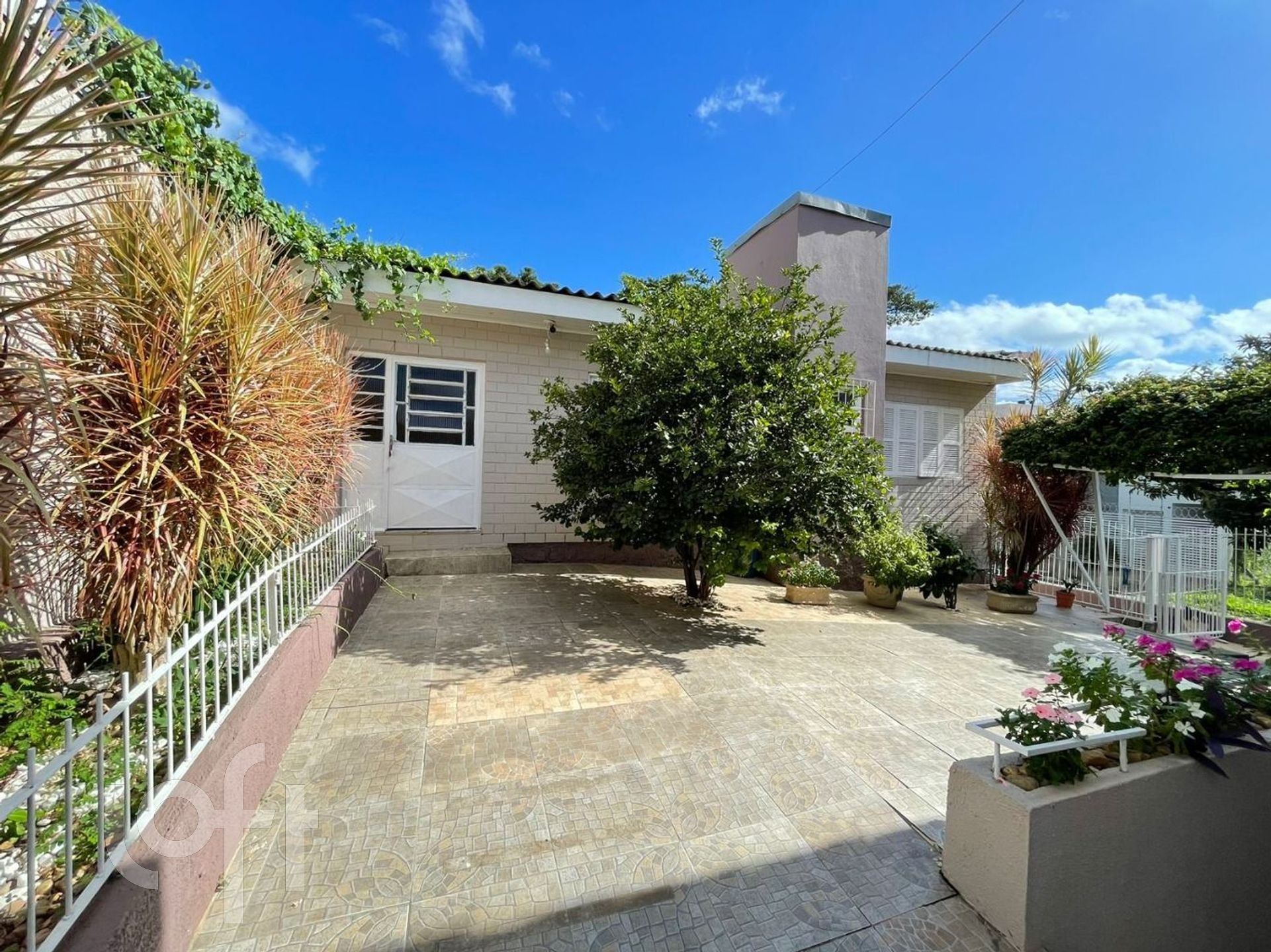 Imagem da propriedade 5