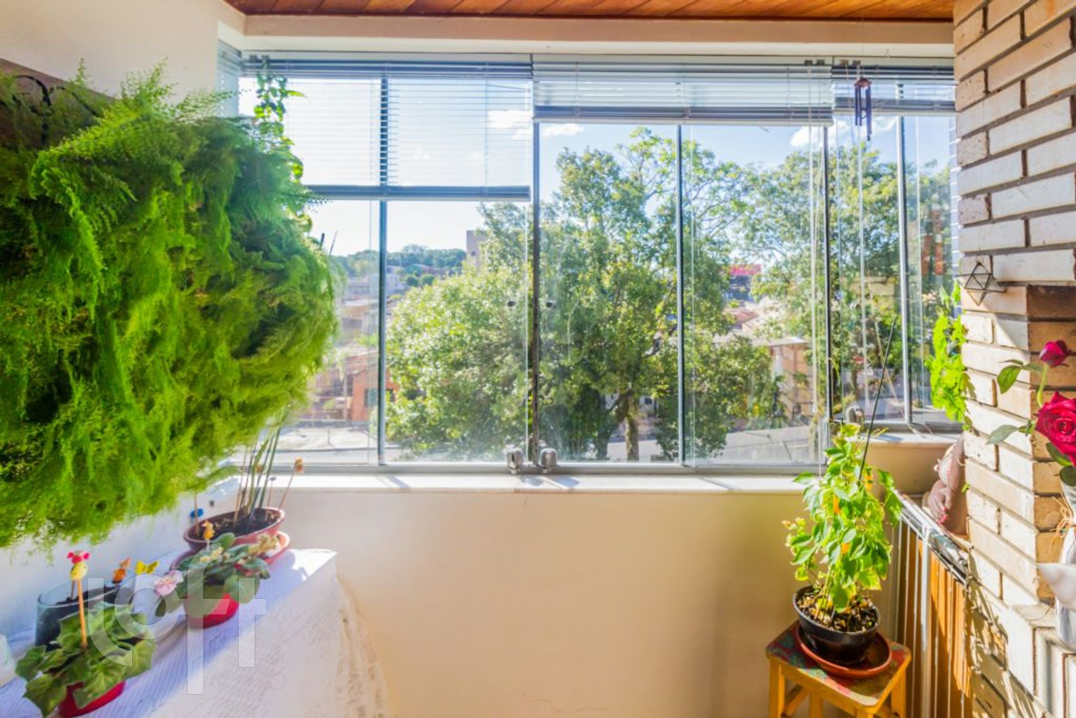 Imagem da propriedade 10