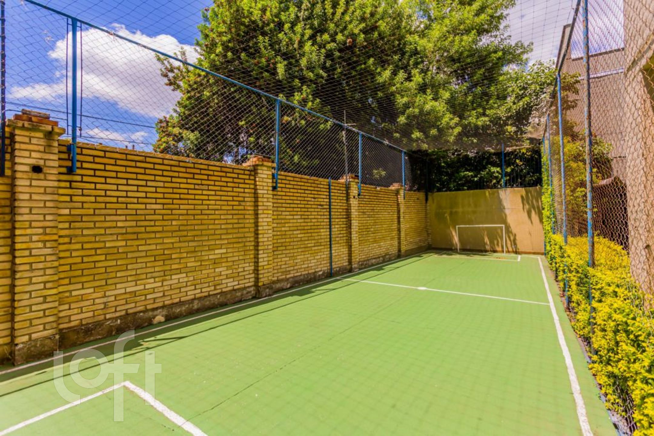 Imagem da propriedade 53