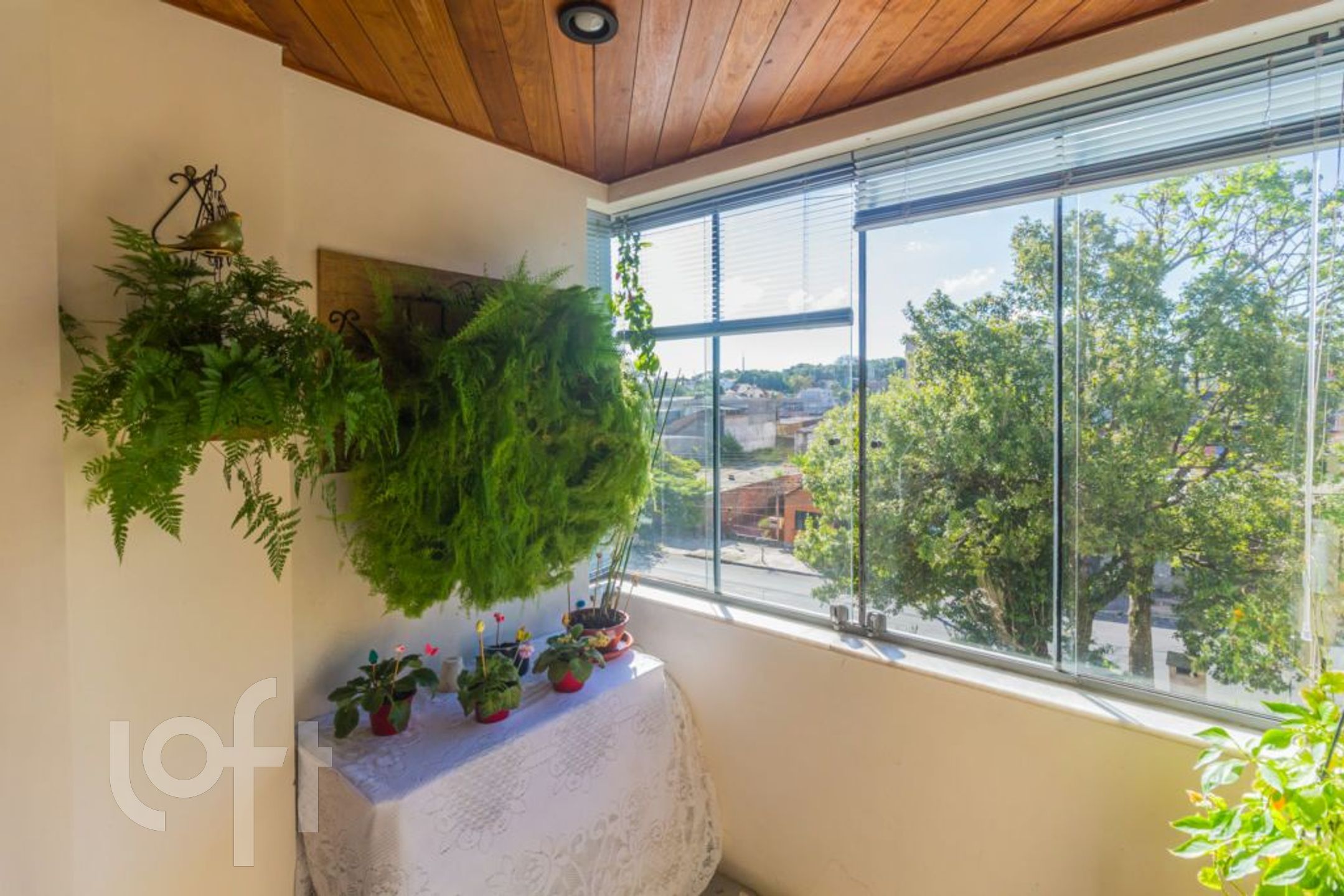 Imagem da propriedade 8