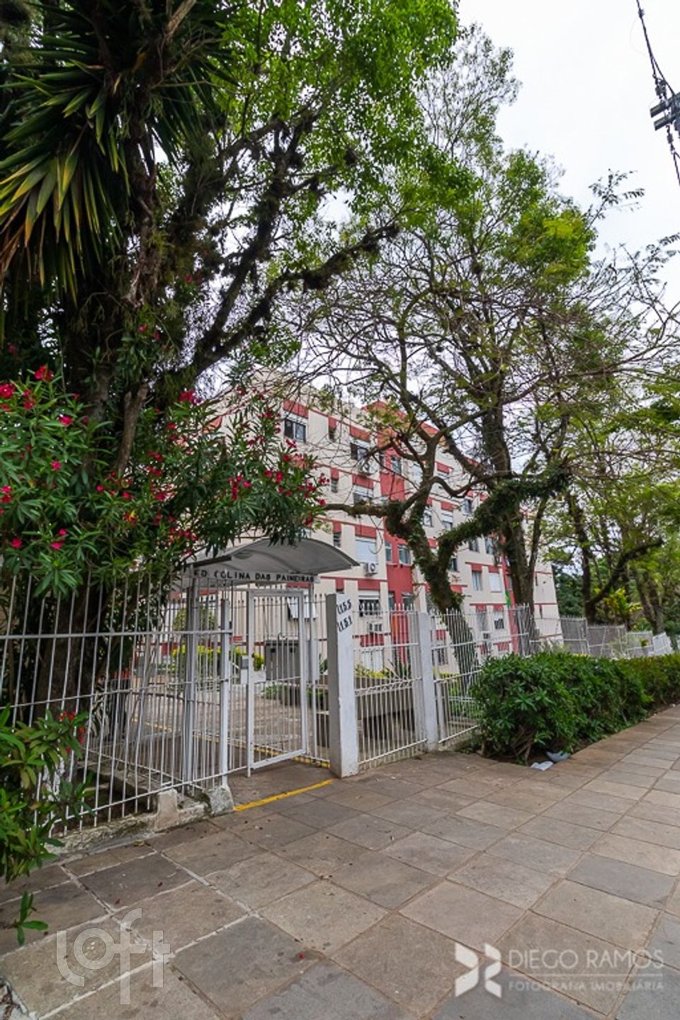 Imagem da propriedade 41