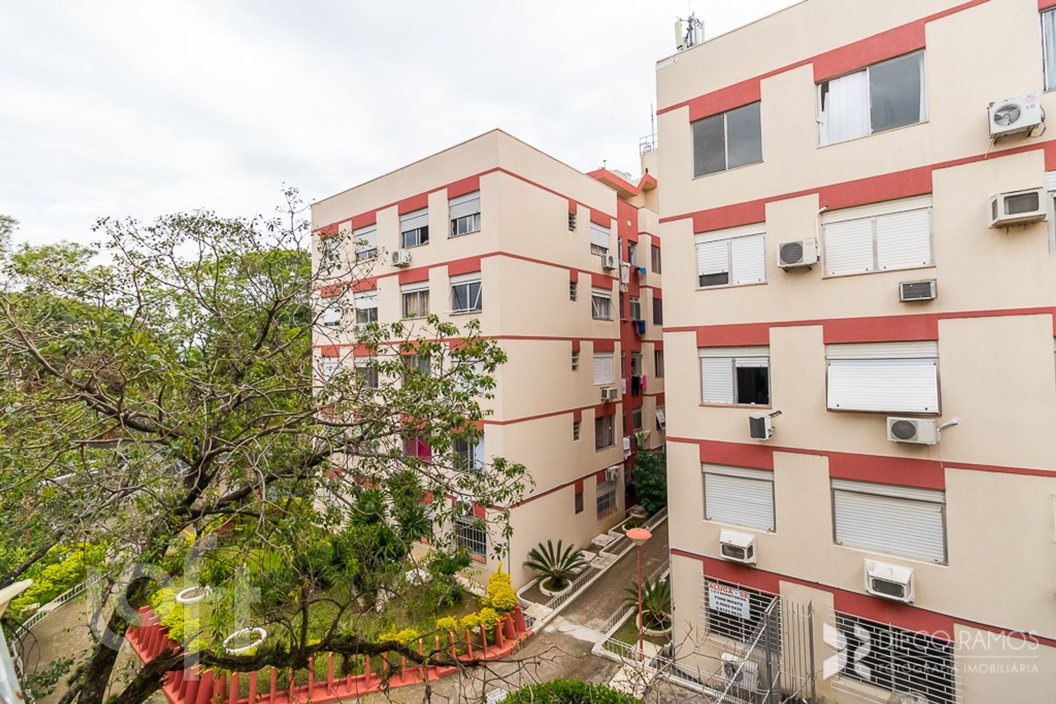 Imagem da propriedade 18