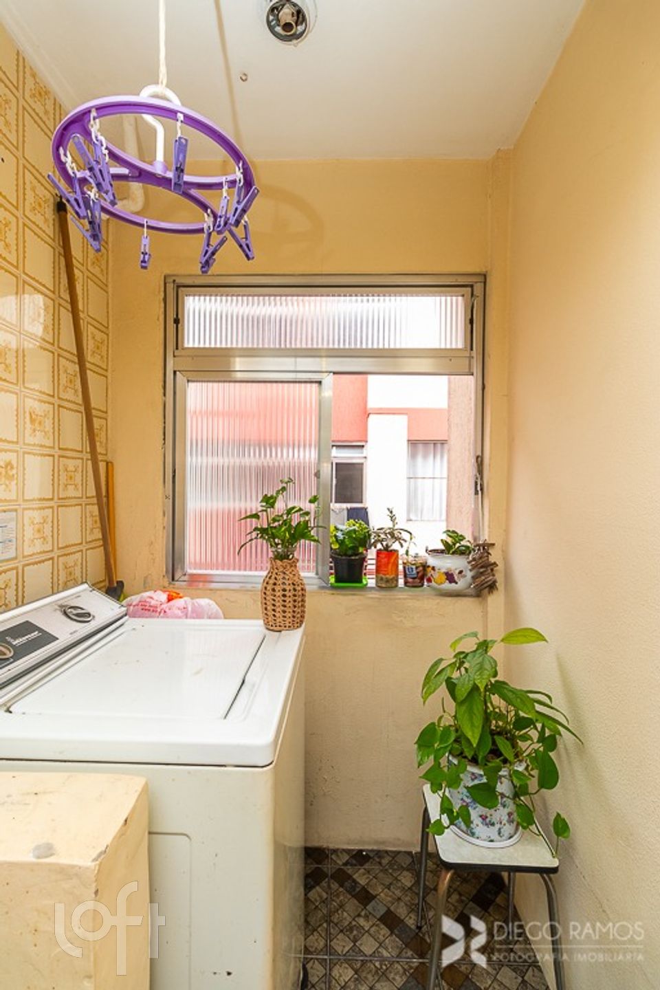 Imagem da propriedade 15