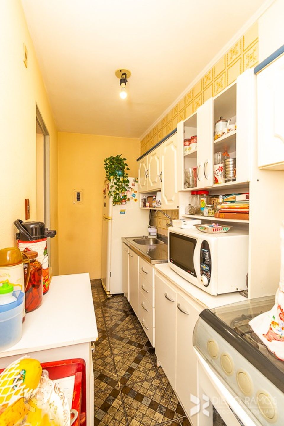 Imagem da propriedade 13