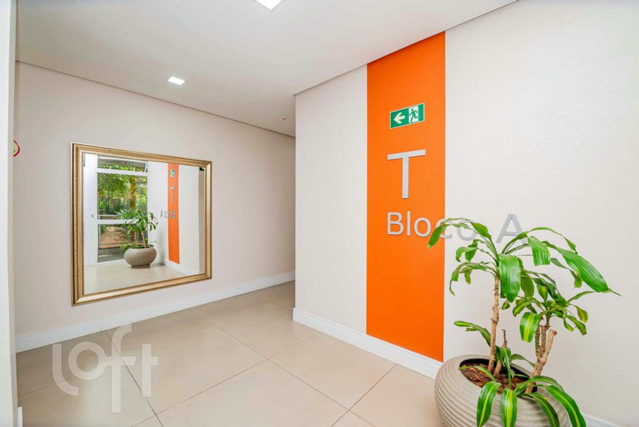 Imagem da propriedade 10