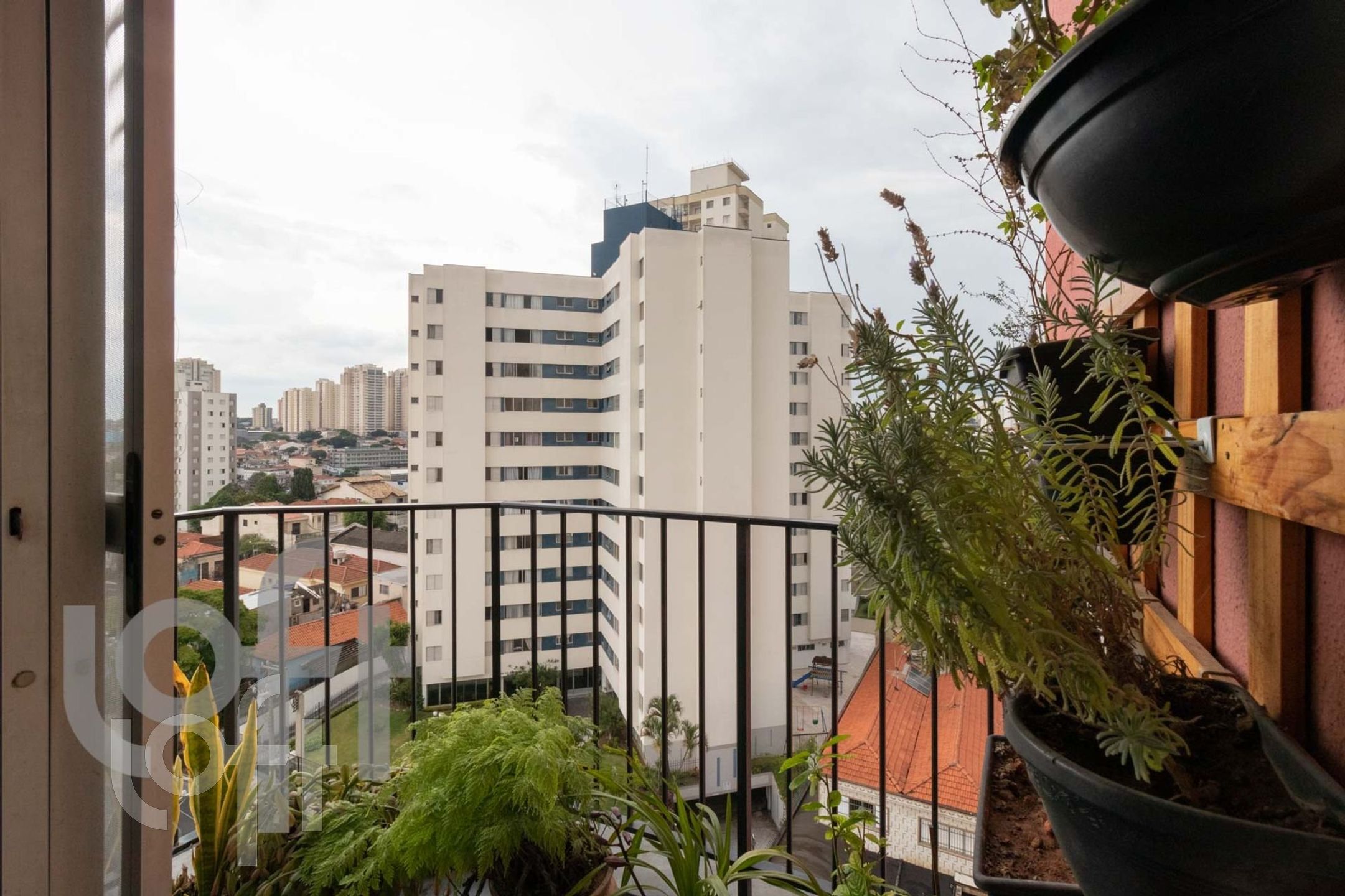 Imagem da propriedade 30