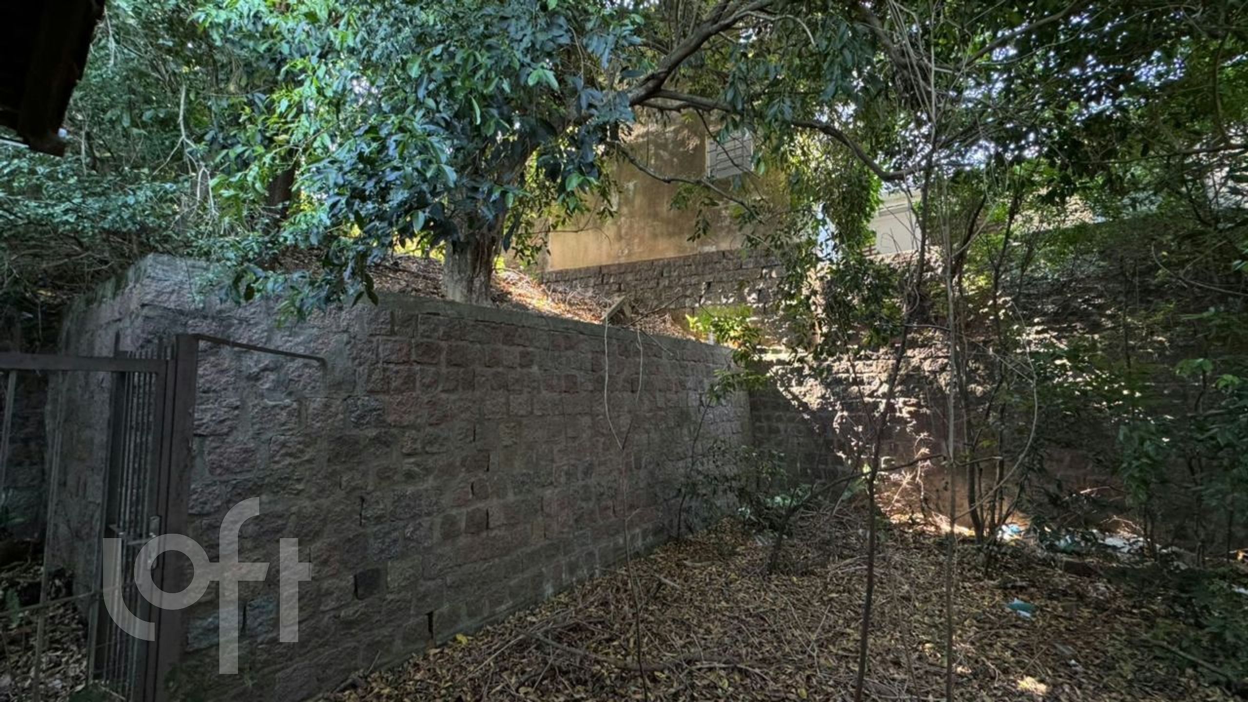 Imagem da propriedade 6