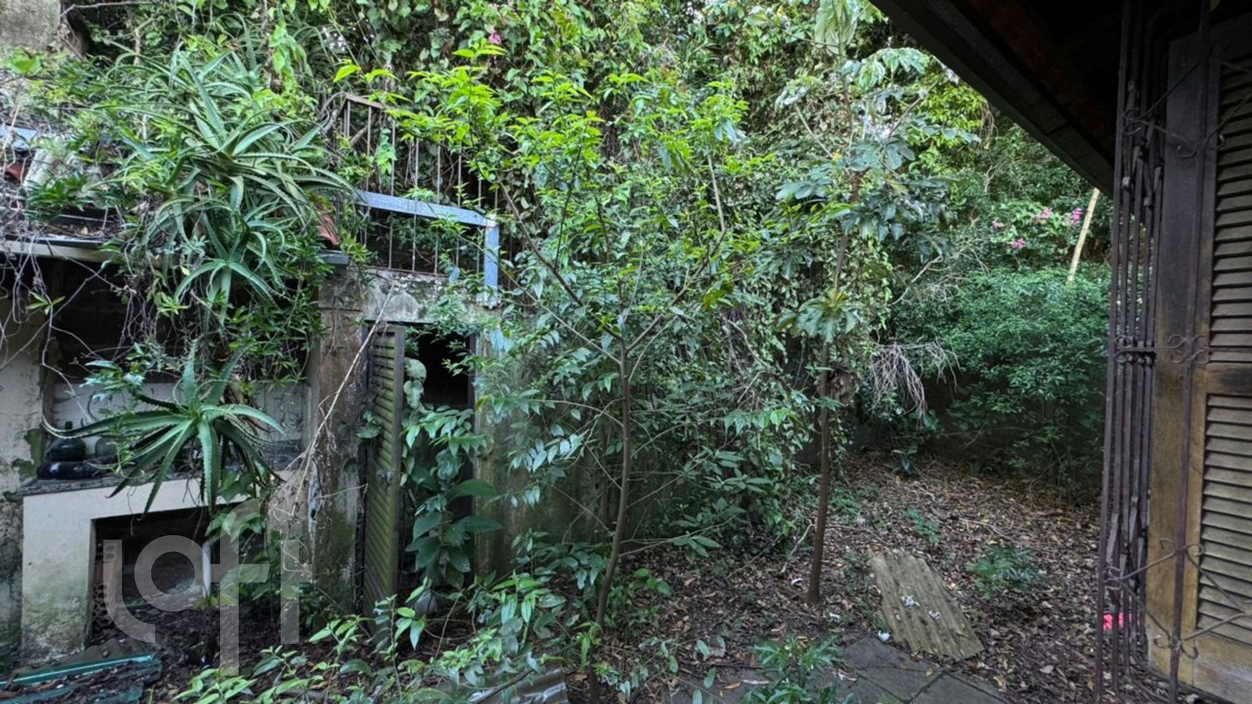 Imagem da propriedade 5