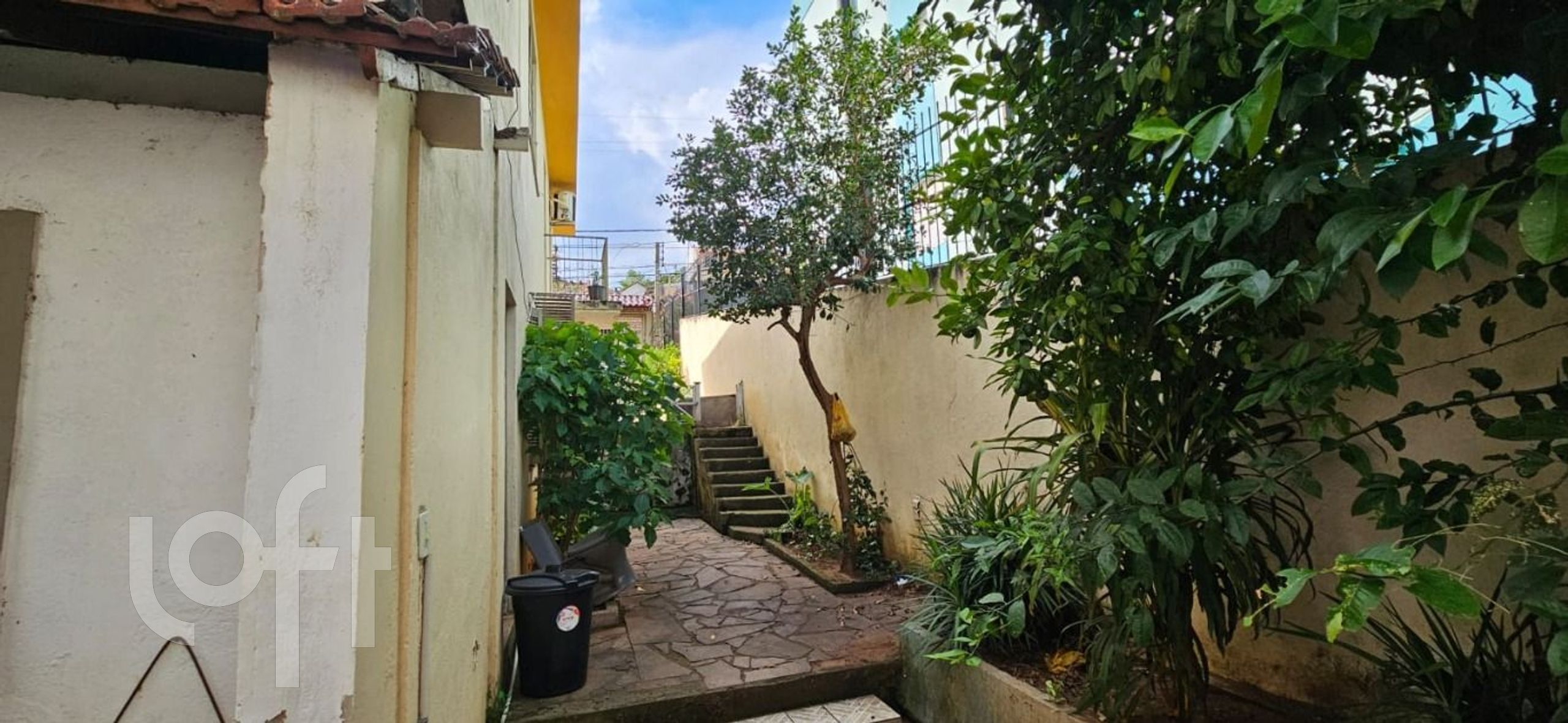 Imagem da propriedade 14