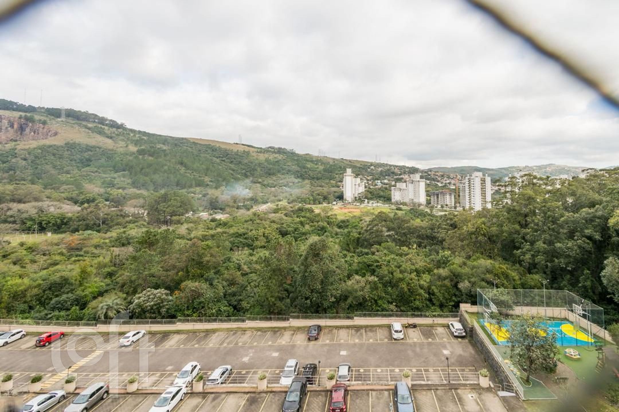 Imagem da propriedade 5