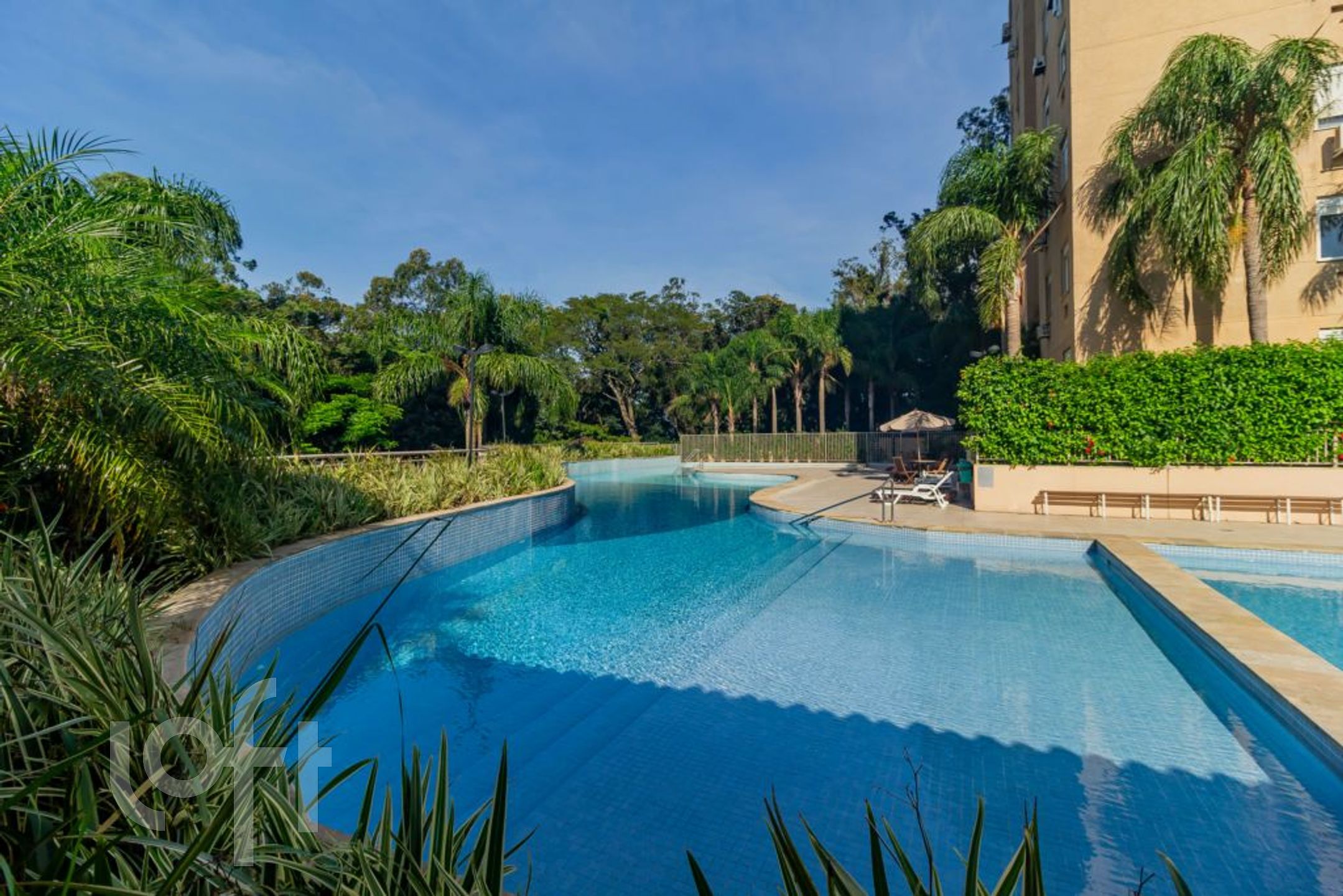 Imagem da propriedade 64