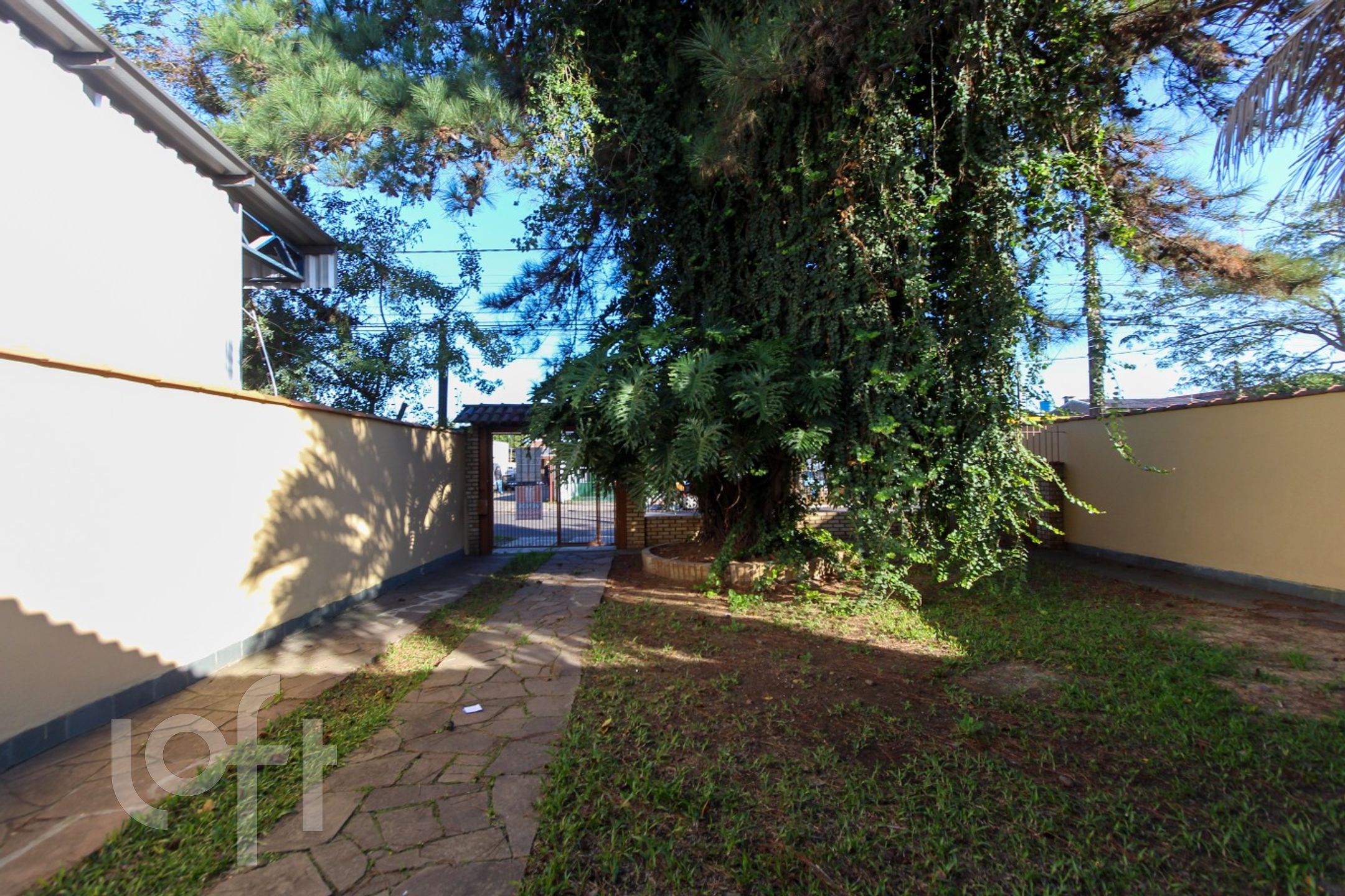 Imagem da propriedade 3