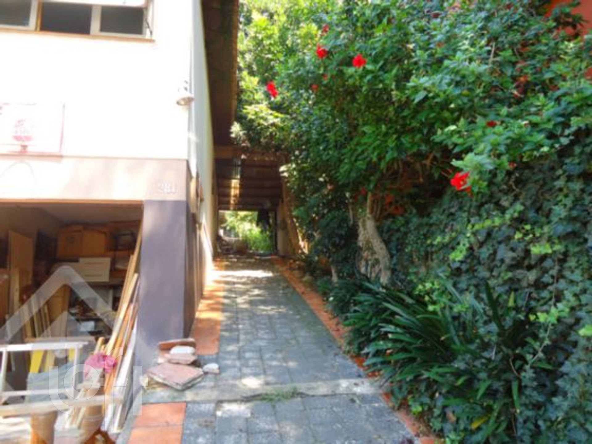 Imagem da propriedade 2