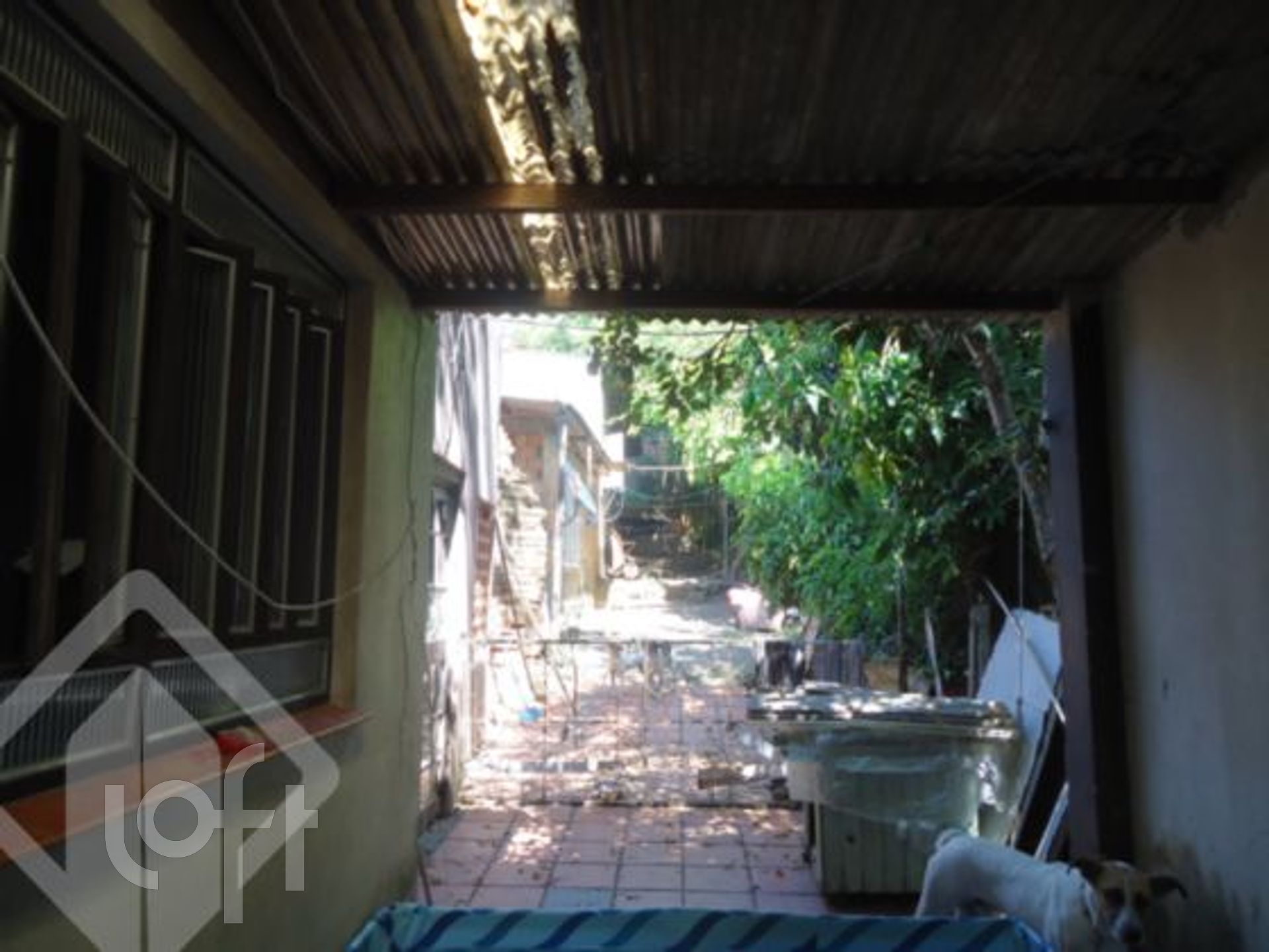 Imagem da propriedade 12