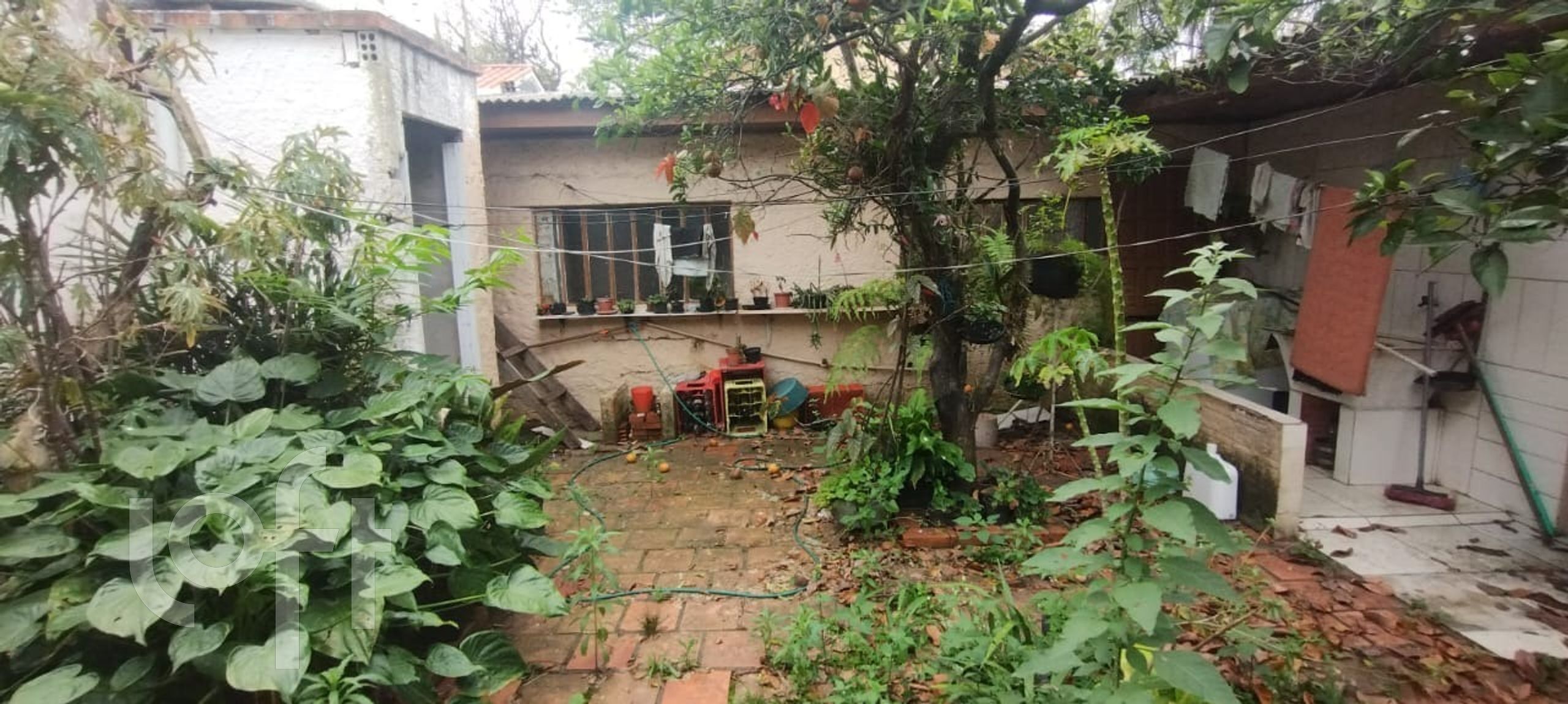 Imagem da propriedade 8