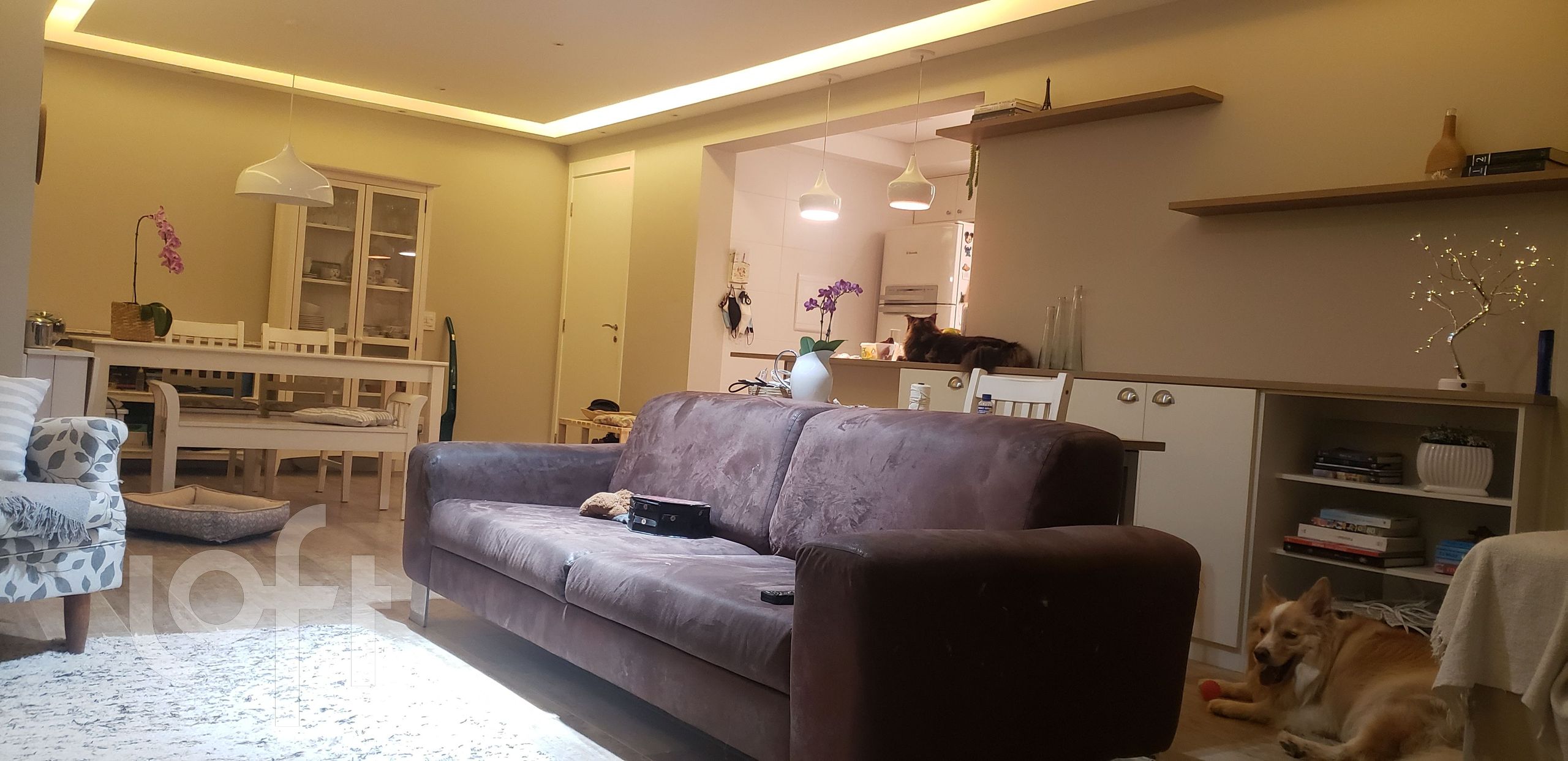Apartamento à venda em Jardim Caboré com 87 m², 2
