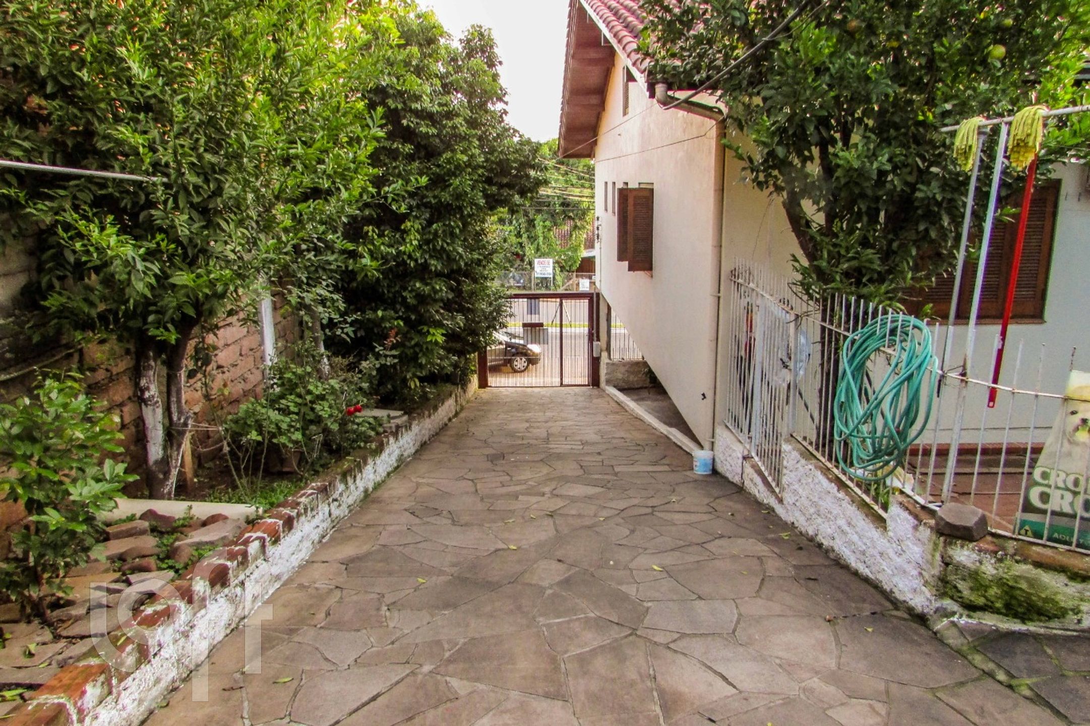 Imagem da propriedade 3