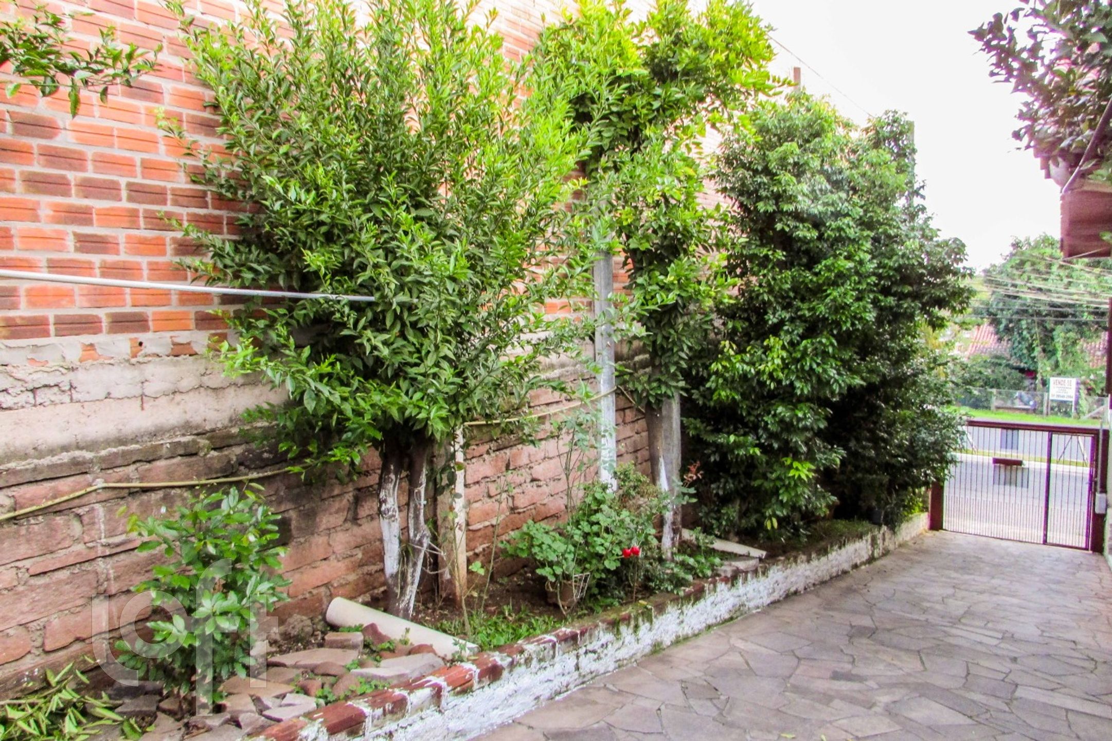 Imagem da propriedade 4