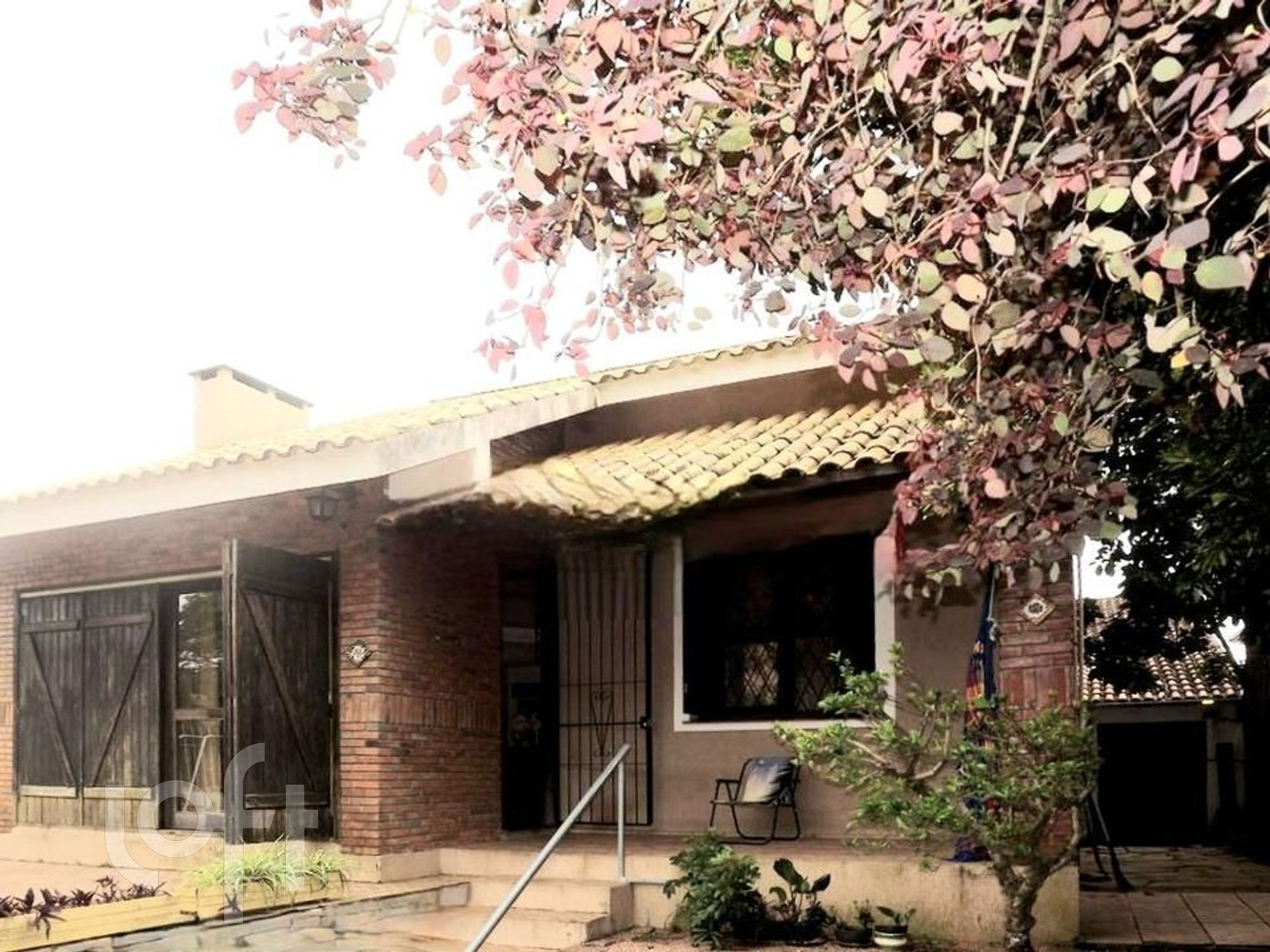 Imagem da propriedade 2