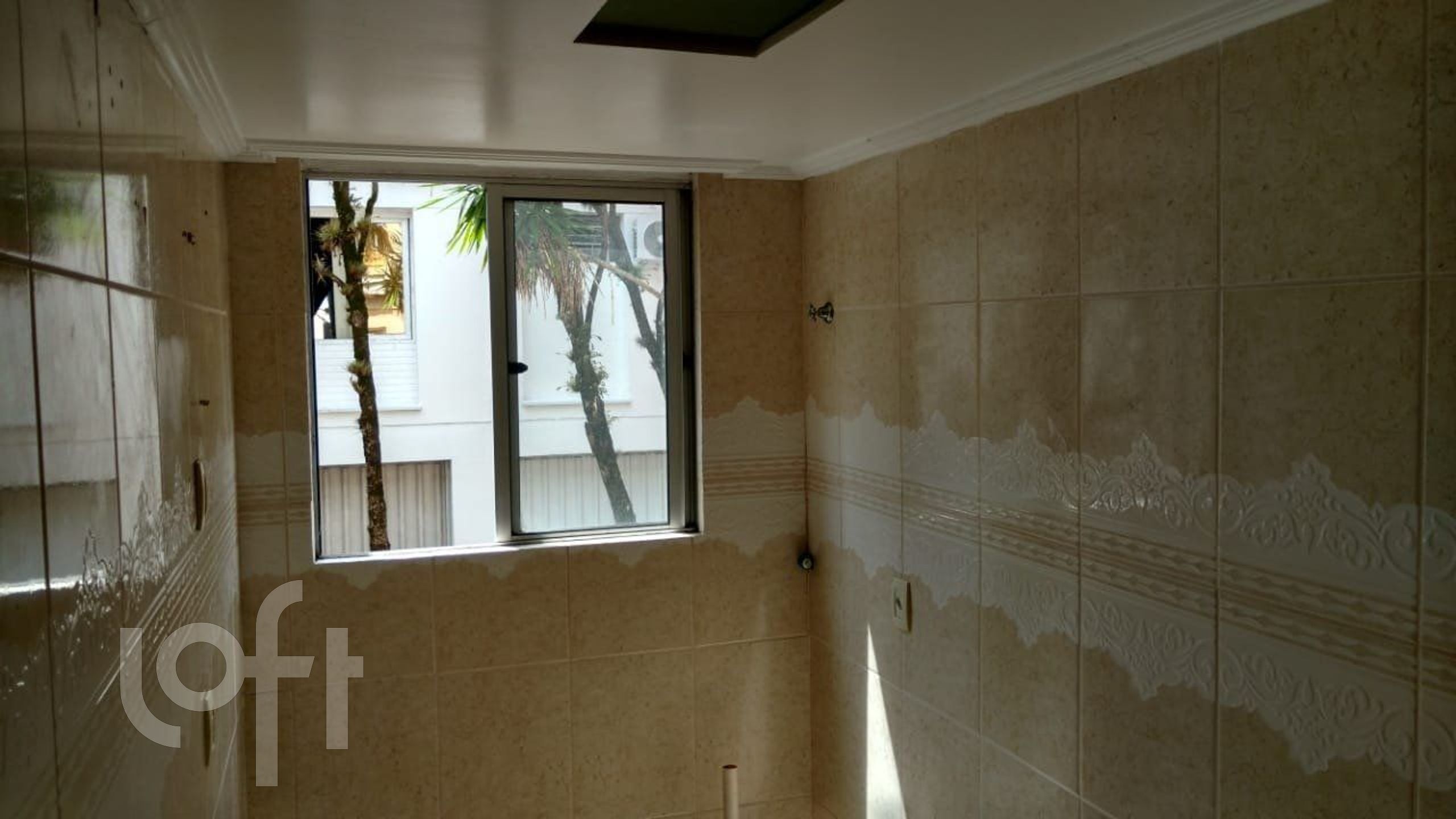 Imagem da propriedade 15