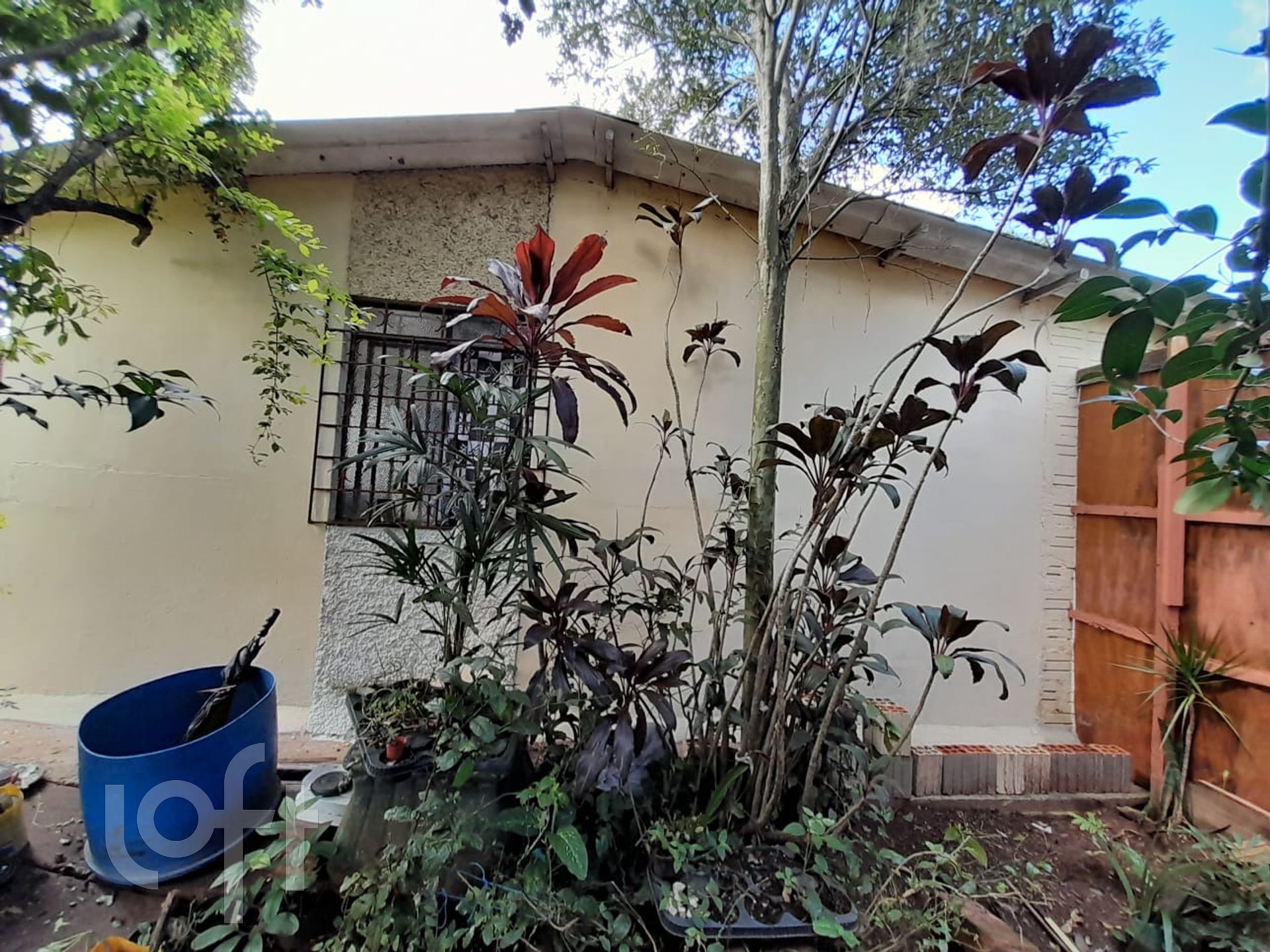 Imagem da propriedade 7