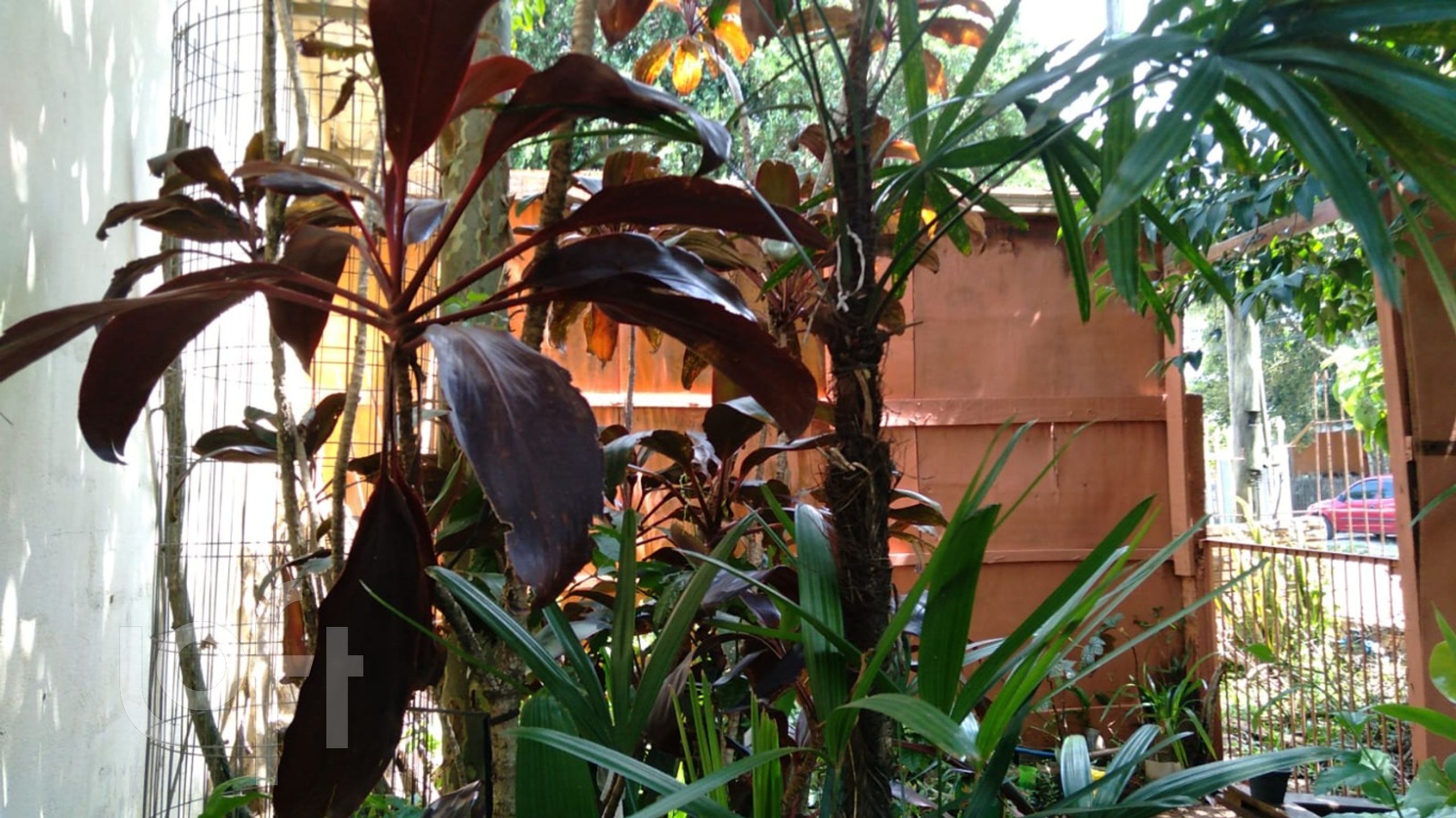 Imagem da propriedade 24