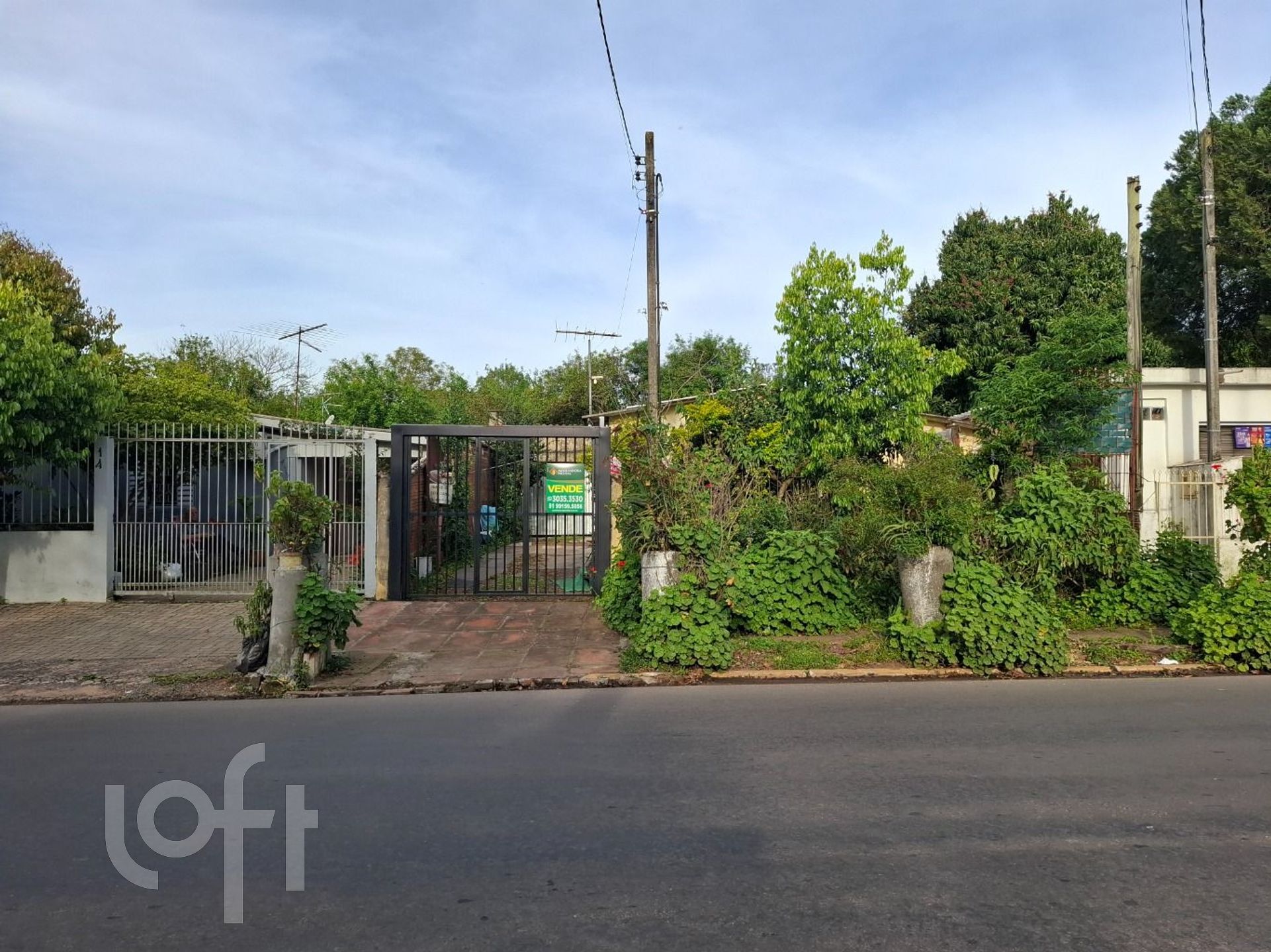 Imagem da propriedade 5