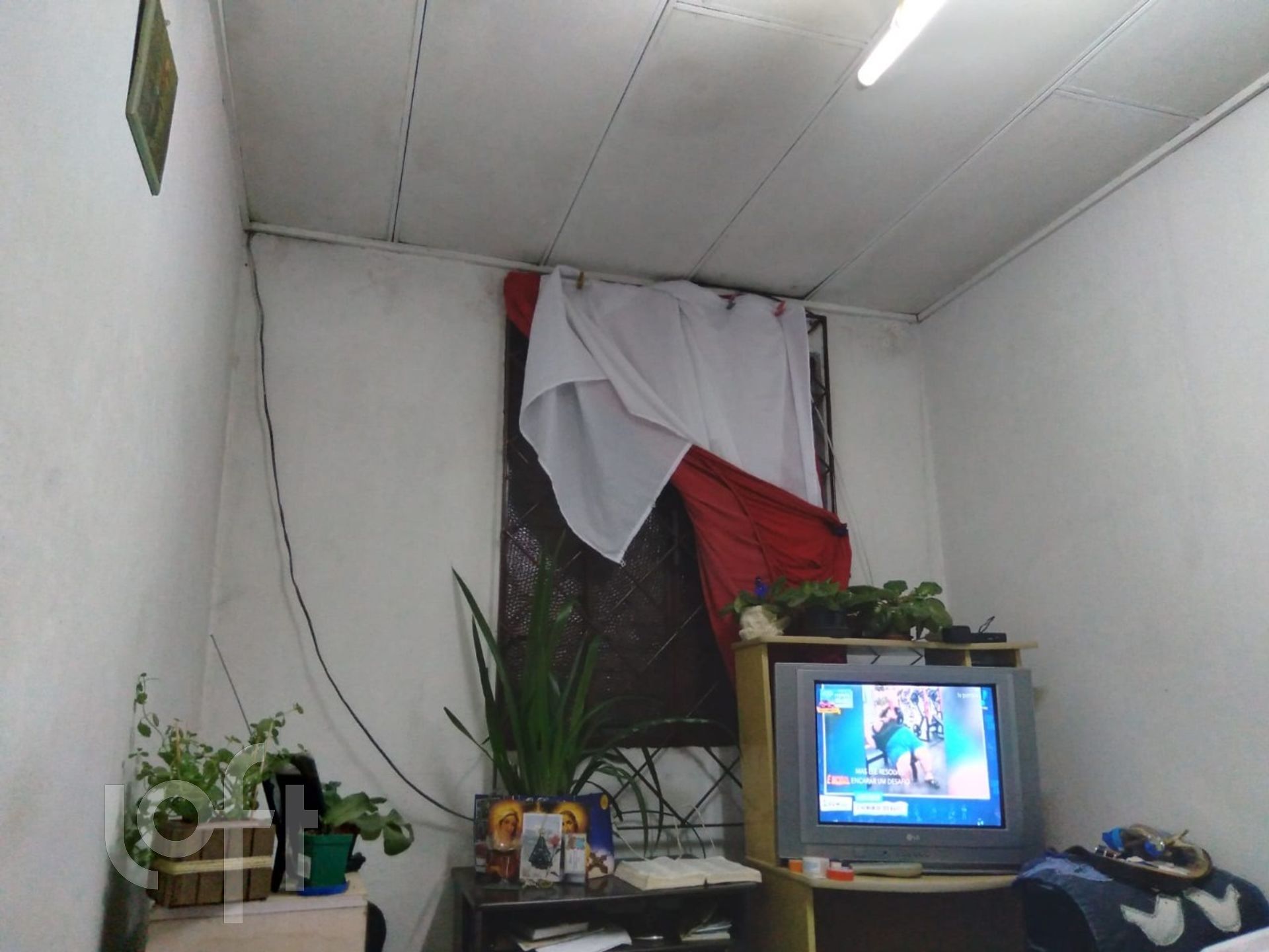 Imagem da propriedade 15