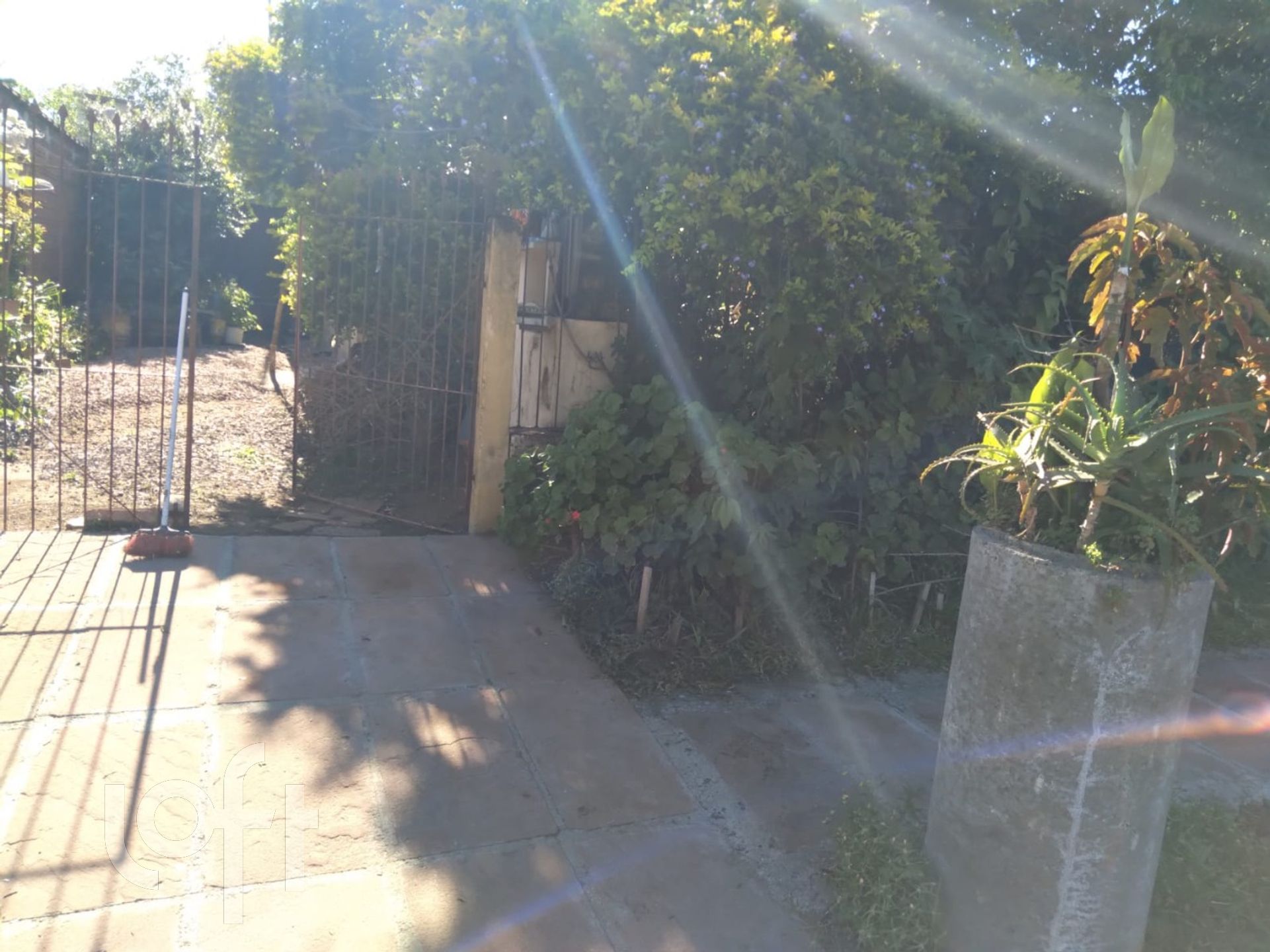 Imagem da propriedade 23