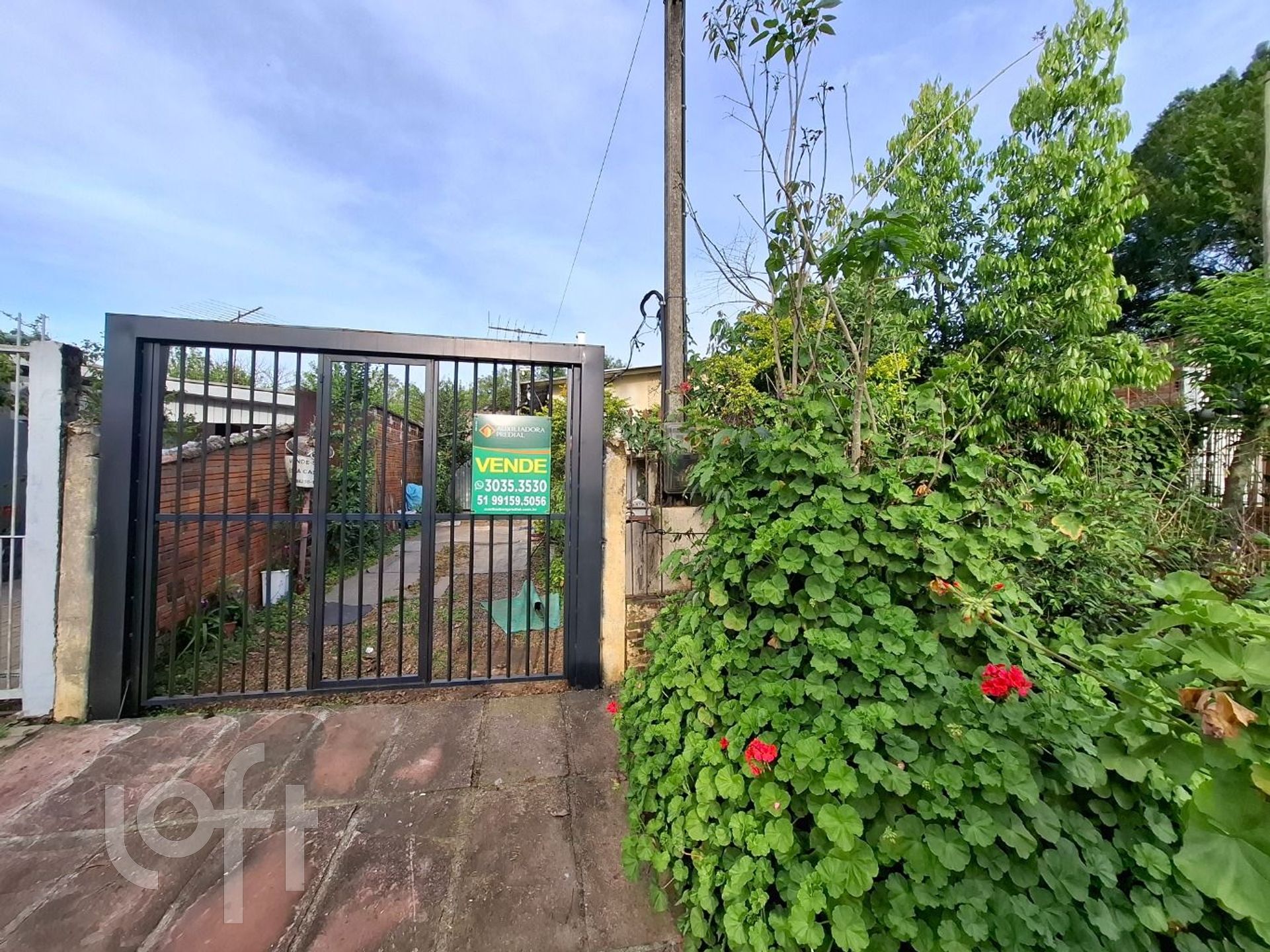 Imagem da propriedade 4