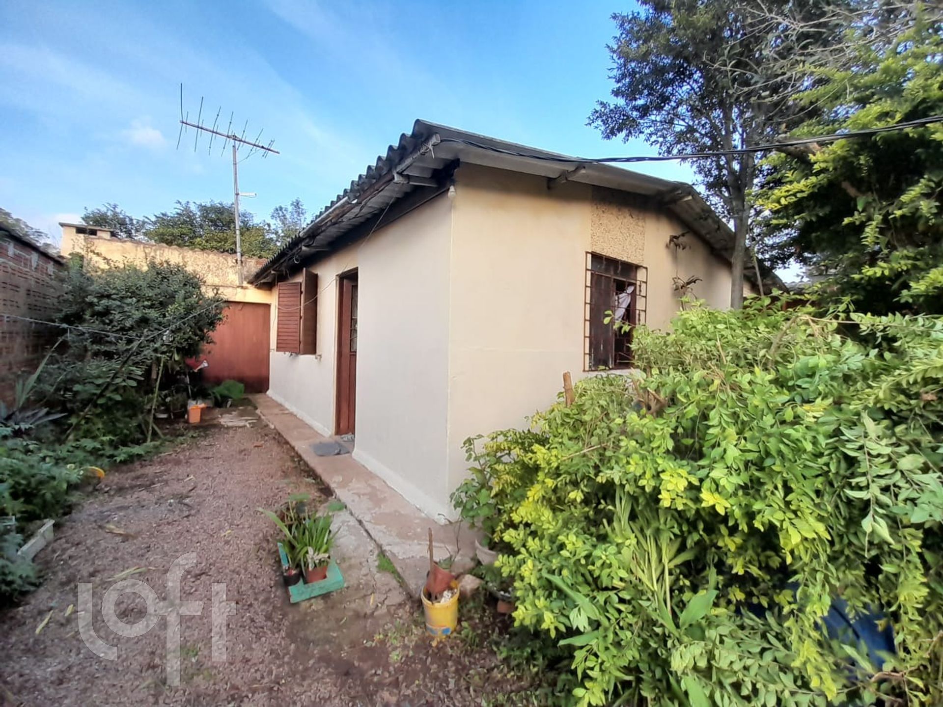 Imagem da propriedade 6