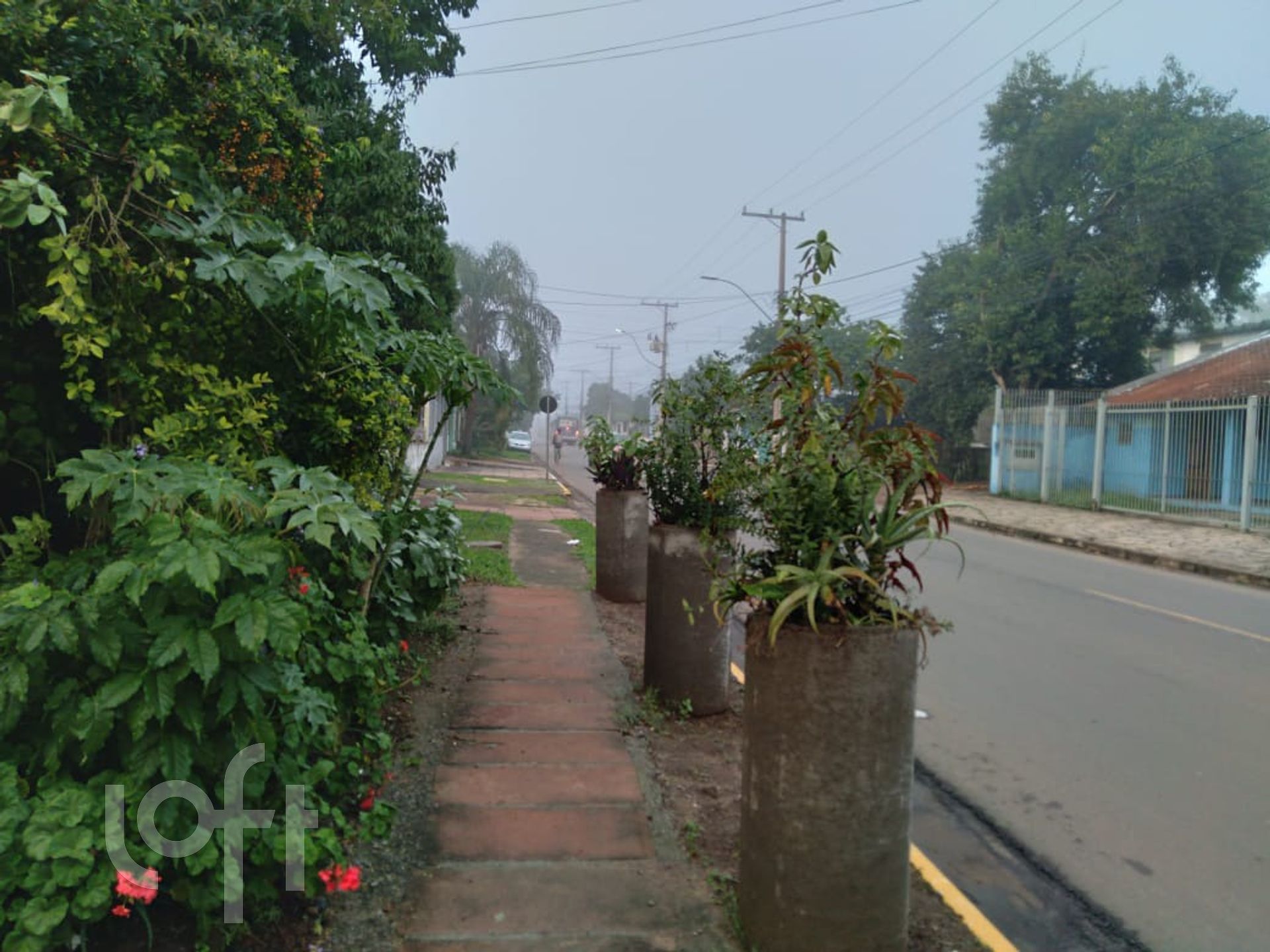 Imagem da propriedade 22