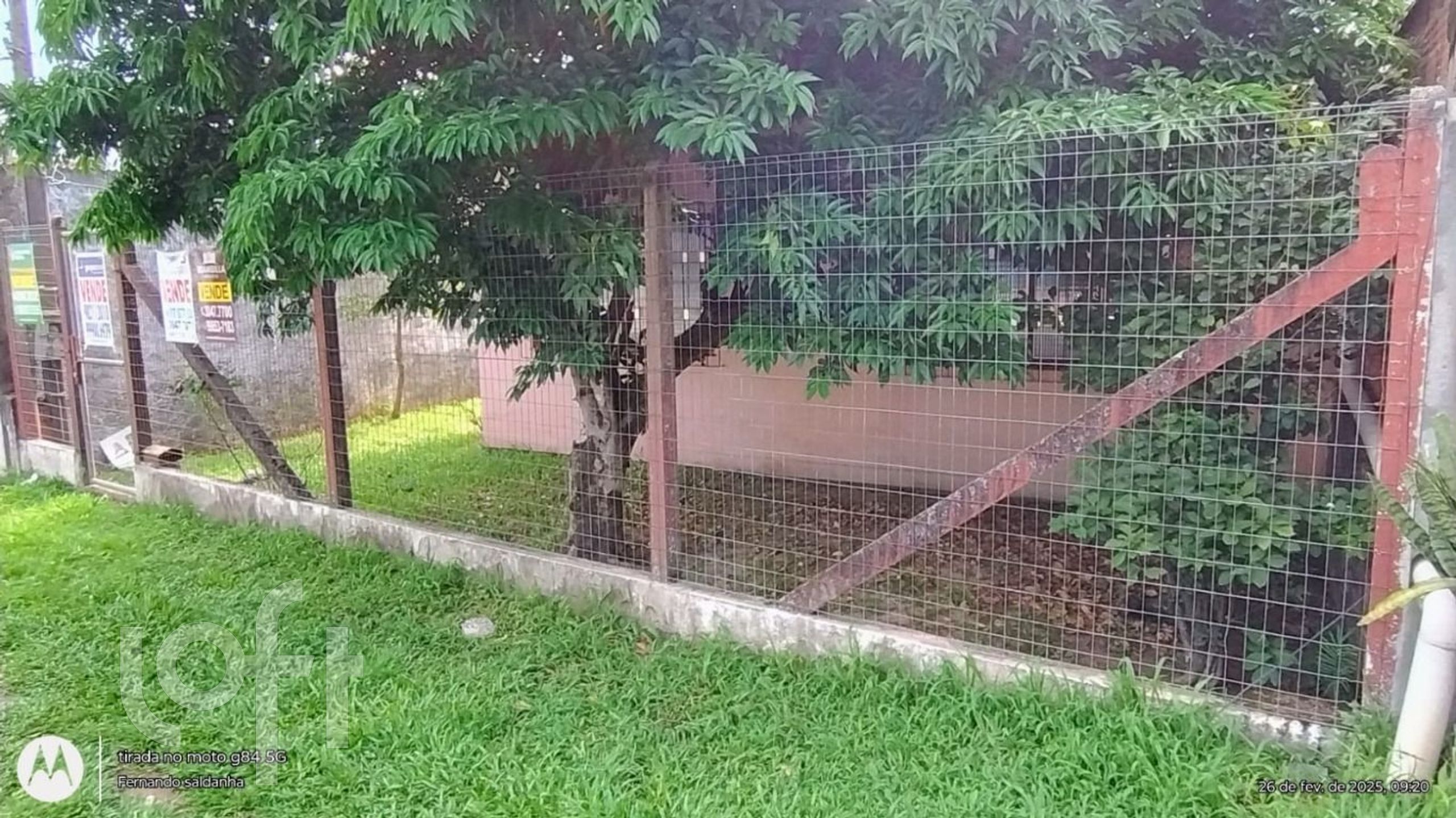 Imagem da propriedade 26