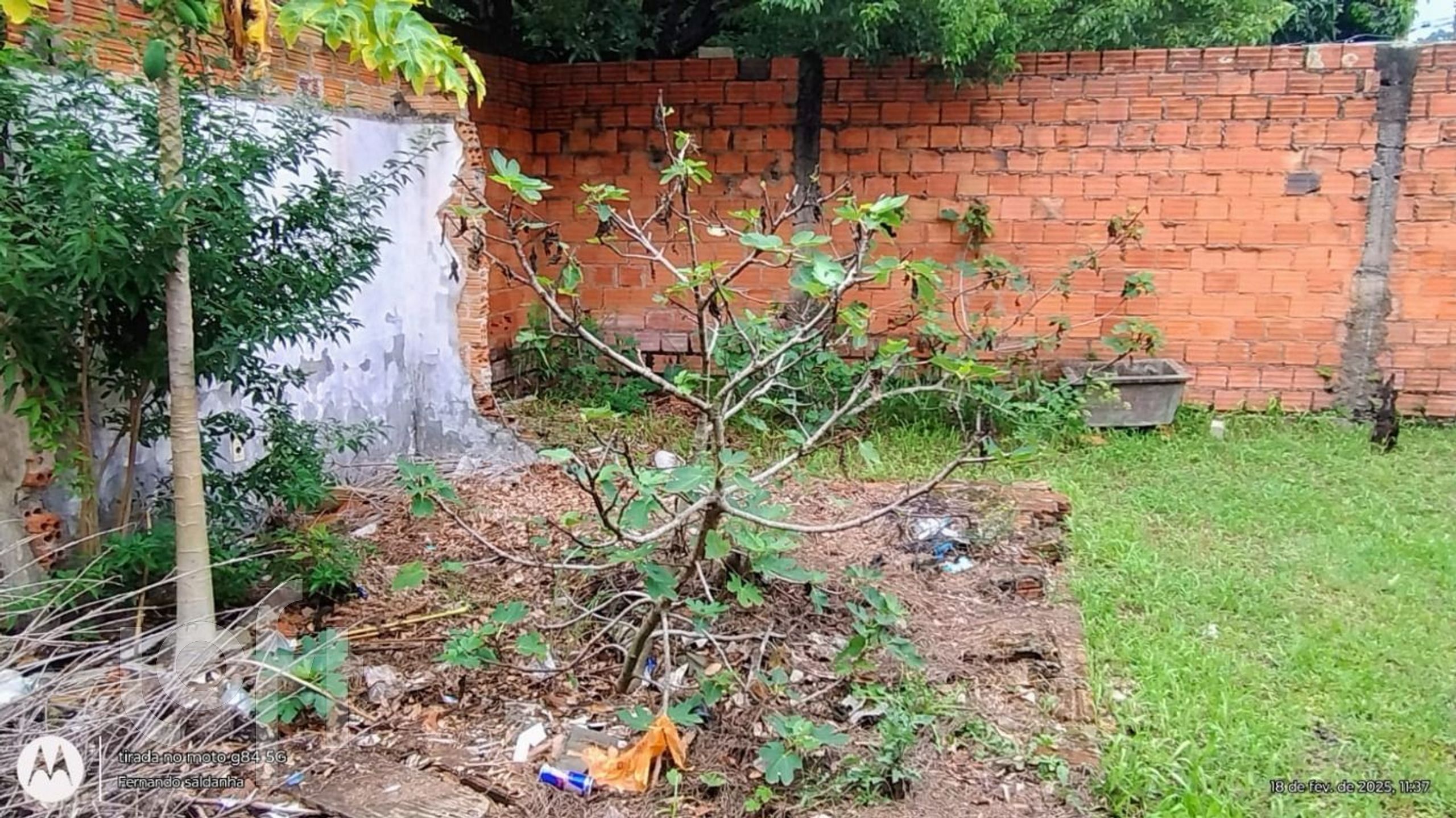 Imagem da propriedade 23