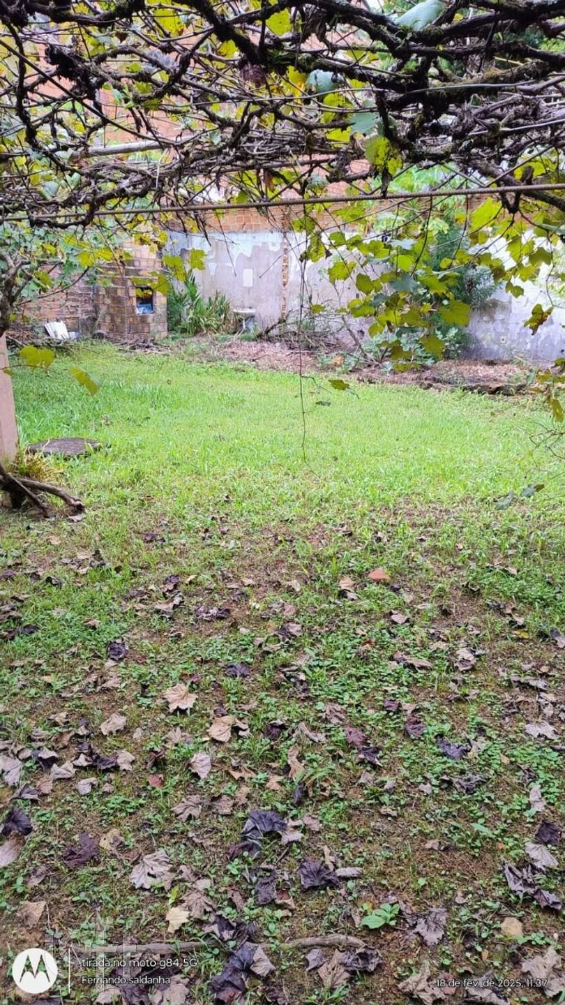 Imagem da propriedade 18