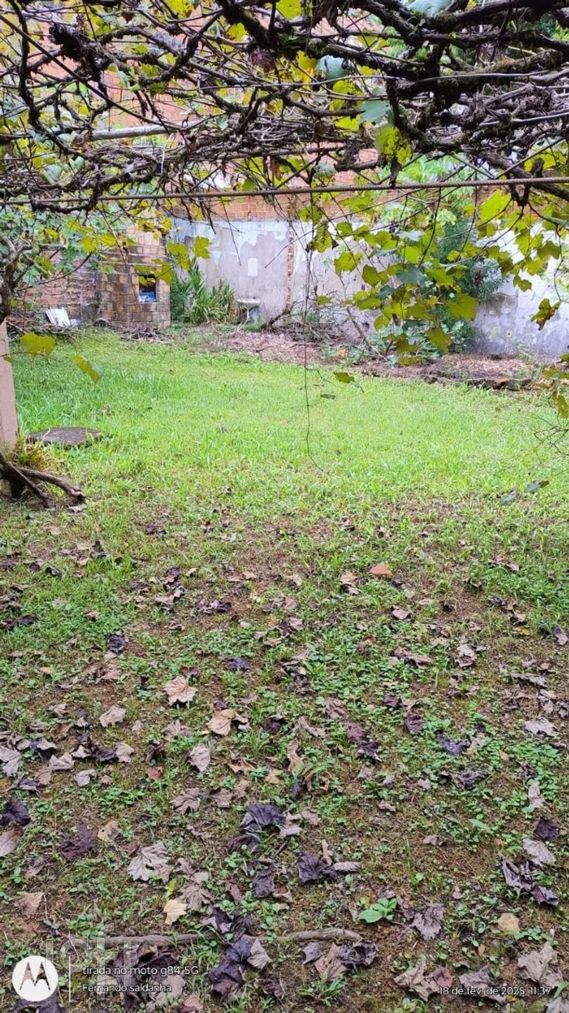 Imagem da propriedade 19