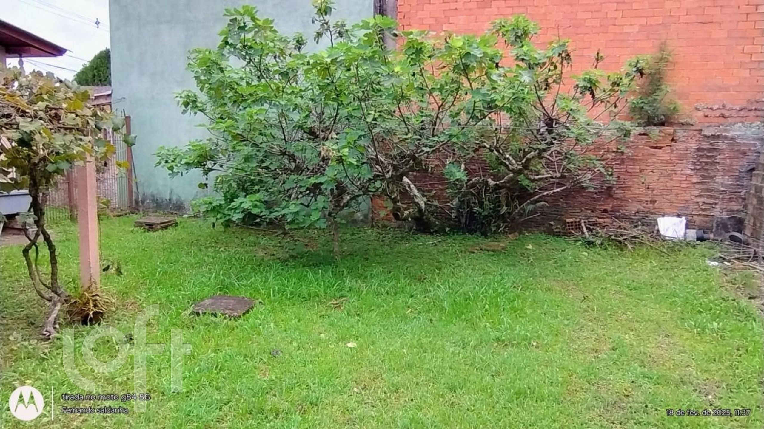 Imagem da propriedade 24