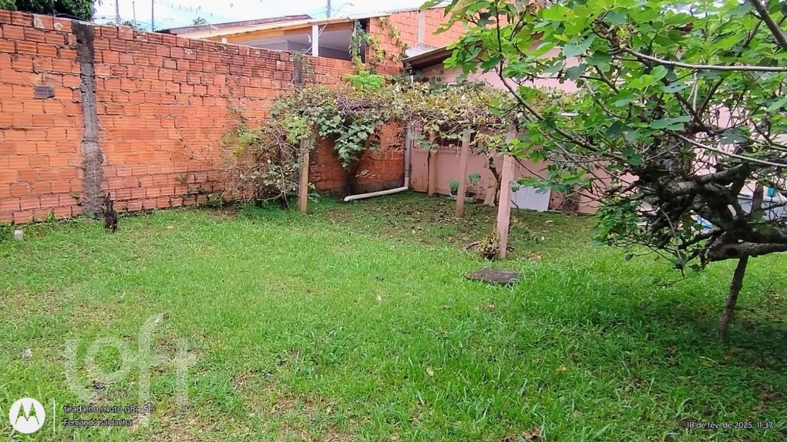 Imagem da propriedade 3