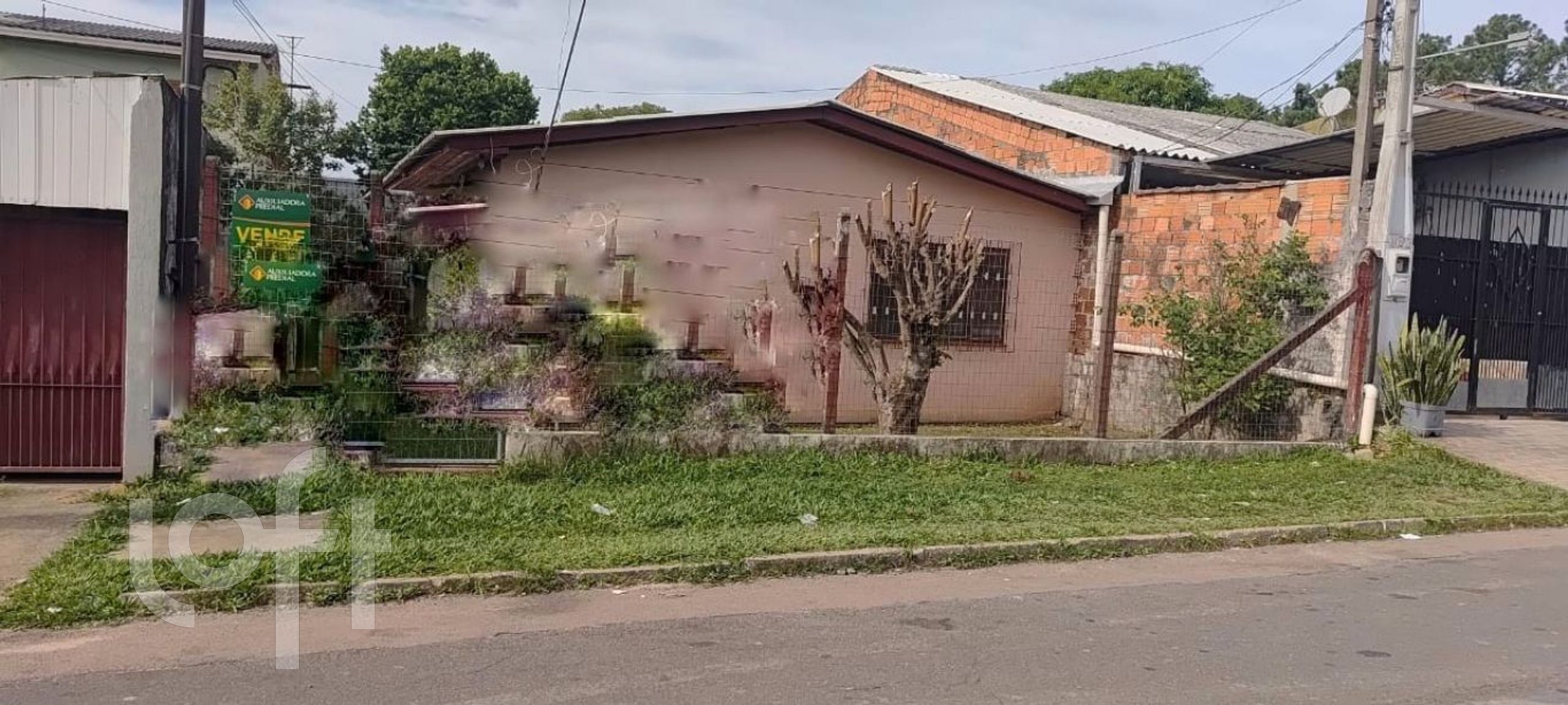 Imagem da propriedade 27