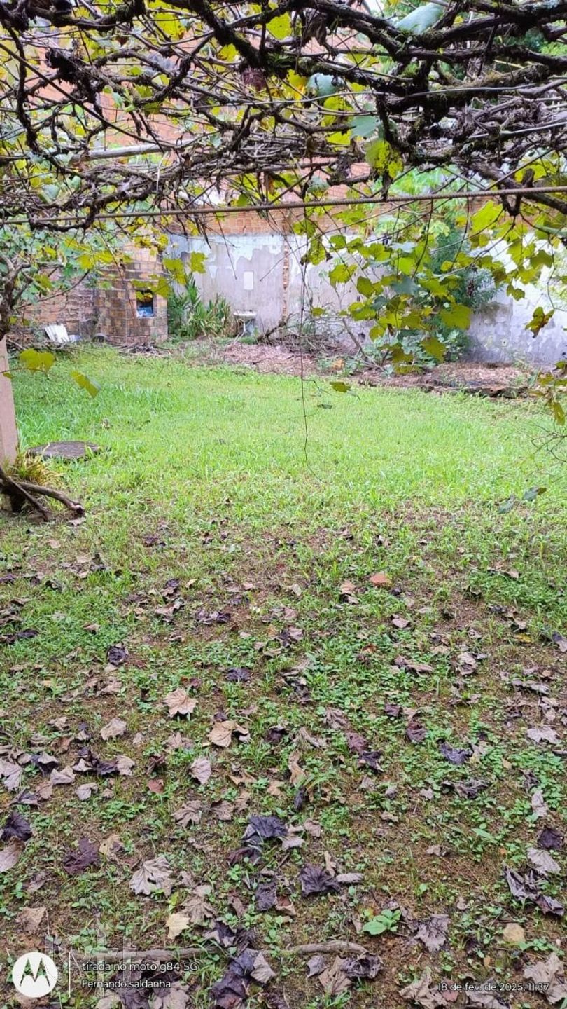 Imagem da propriedade 17