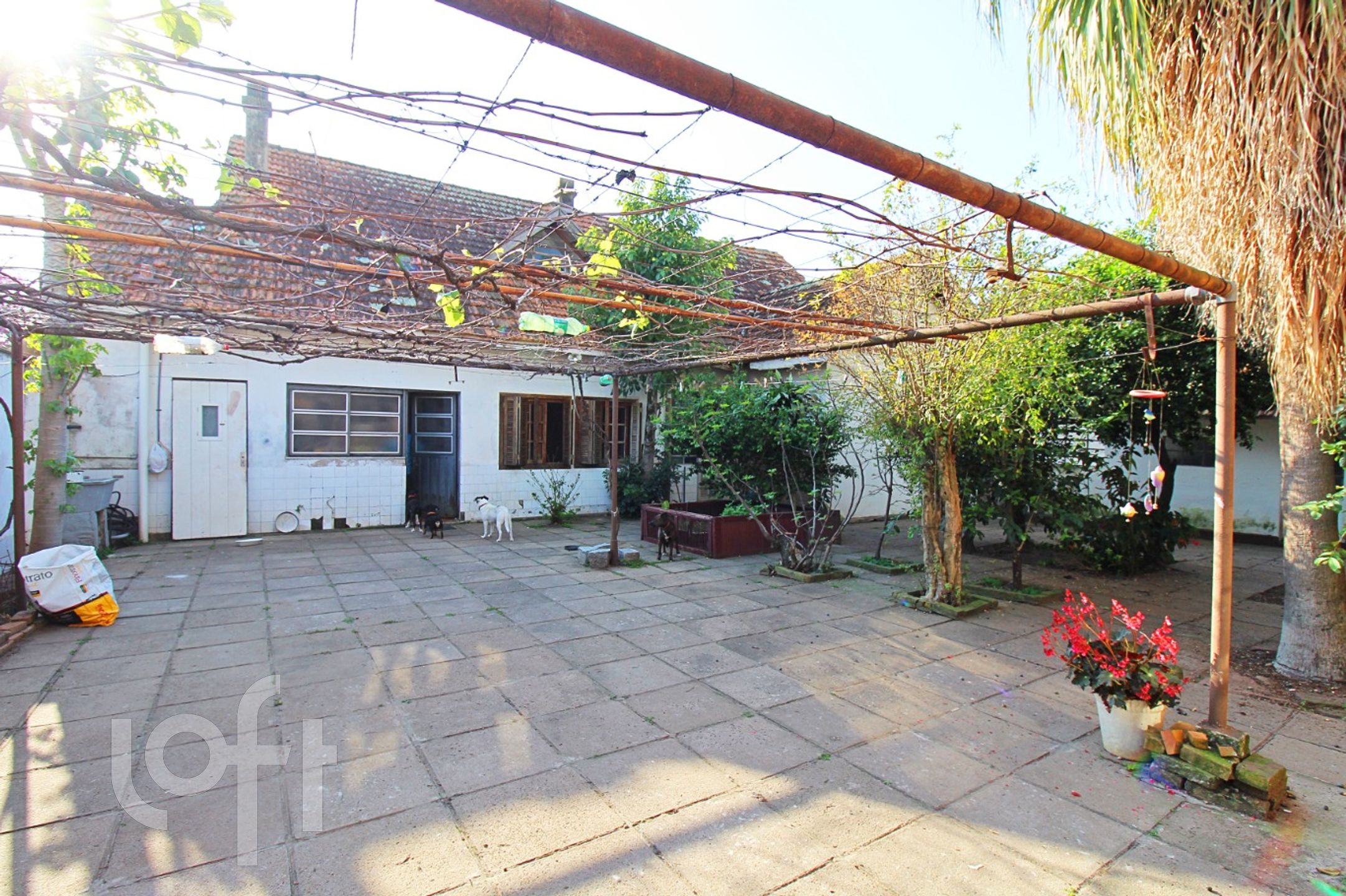 Imagem da propriedade 42